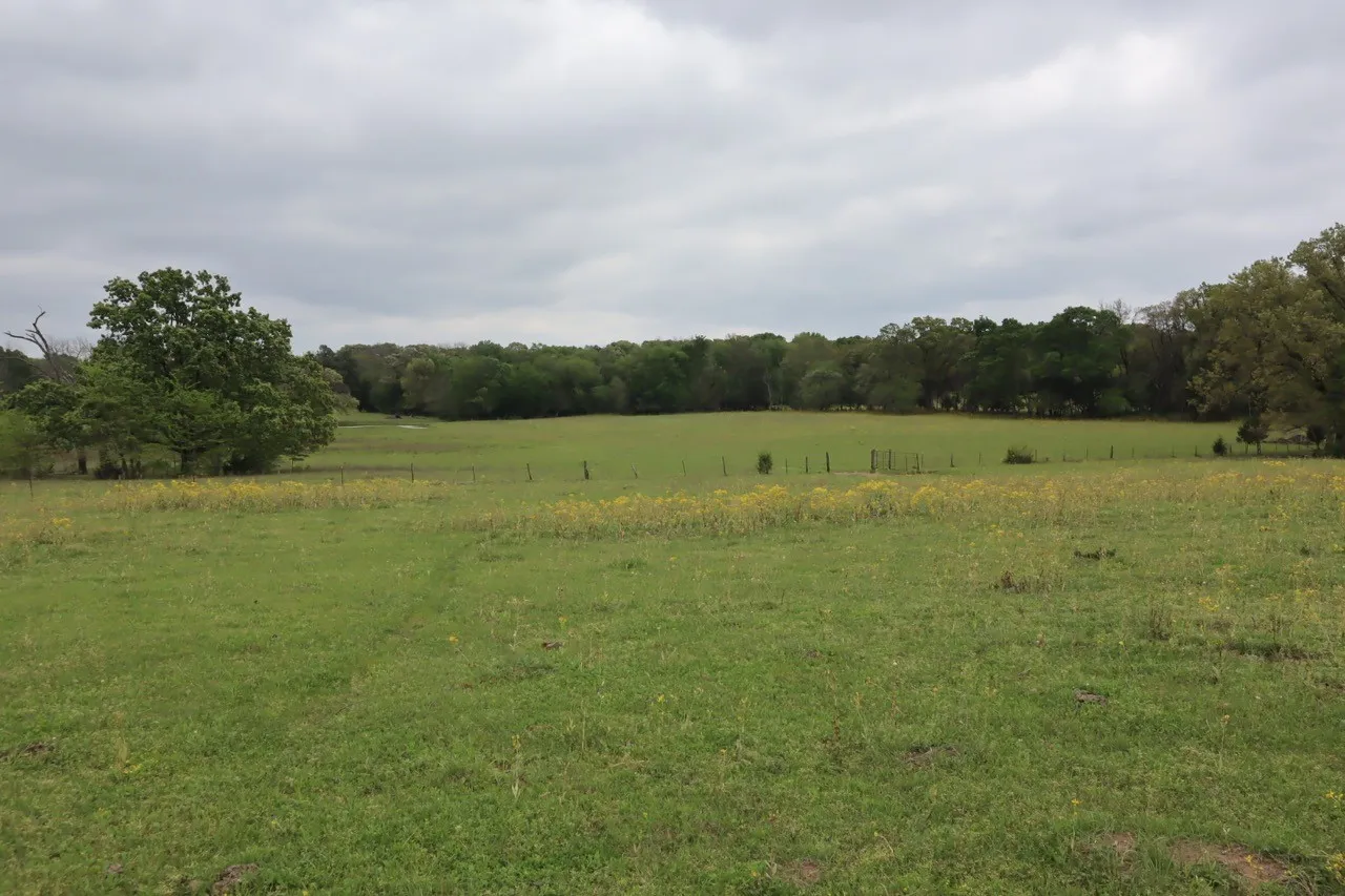 Ranch For Sale in Rains County , TBD Rs County Road 2365, Alba, Texas 75410, 0, 0, Garage spaces, 0 Sqft, built in 0, mls#20581292, Real Estate Agent in Alba, Homes For Sale in Rains county, Homes For Sale in Alba, Realtor in Alba Texas, Real Estate Brokerage Independent Realty Texas, Luminita Cordes Realtor
