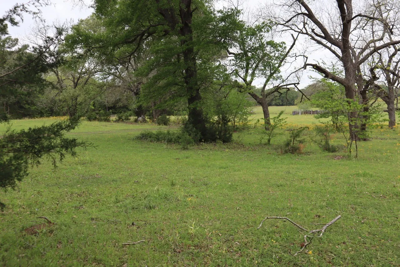 Ranch For Sale in Rains County , TBD Rs County Road 2365, Alba, Texas 75410, 0, 0, Garage spaces, 0 Sqft, built in 0, mls#20581292, Real Estate Agent in Alba, Homes For Sale in Rains county, Homes For Sale in Alba, Realtor in Alba Texas, Real Estate Brokerage Independent Realty Texas, Luminita Cordes Realtor