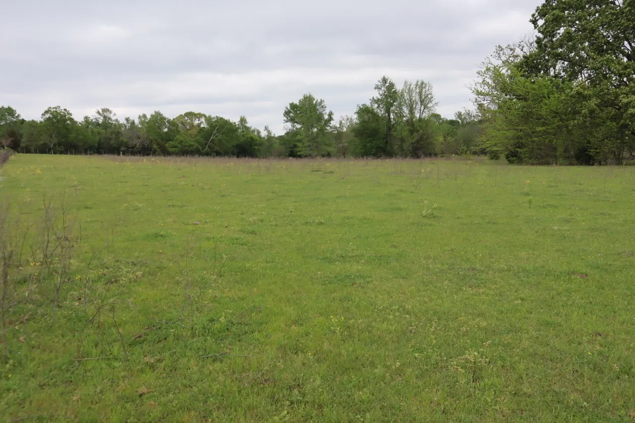 Ranch For Sale in Rains County , TBD Rs County Road 2365, Alba, Texas 75410, 0, 0, Garage spaces, 0 Sqft, built in 0, mls#20581292, Real Estate Agent in Alba, Homes For Sale in Rains county, Homes For Sale in Alba, Realtor in Alba Texas, Real Estate Brokerage Independent Realty Texas, Luminita Cordes Realtor