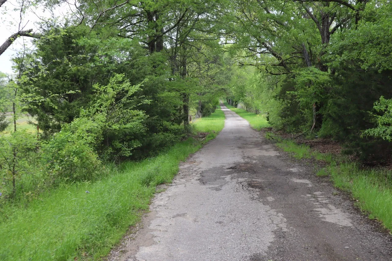 Ranch For Sale in Rains County , TBD Rs County Road 2365, Alba, Texas 75410, 0, 0, Garage spaces, 0 Sqft, built in 0, mls#20581292, Real Estate Agent in Alba, Homes For Sale in Rains county, Homes For Sale in Alba, Realtor in Alba Texas, Real Estate Brokerage Independent Realty Texas, Luminita Cordes Realtor