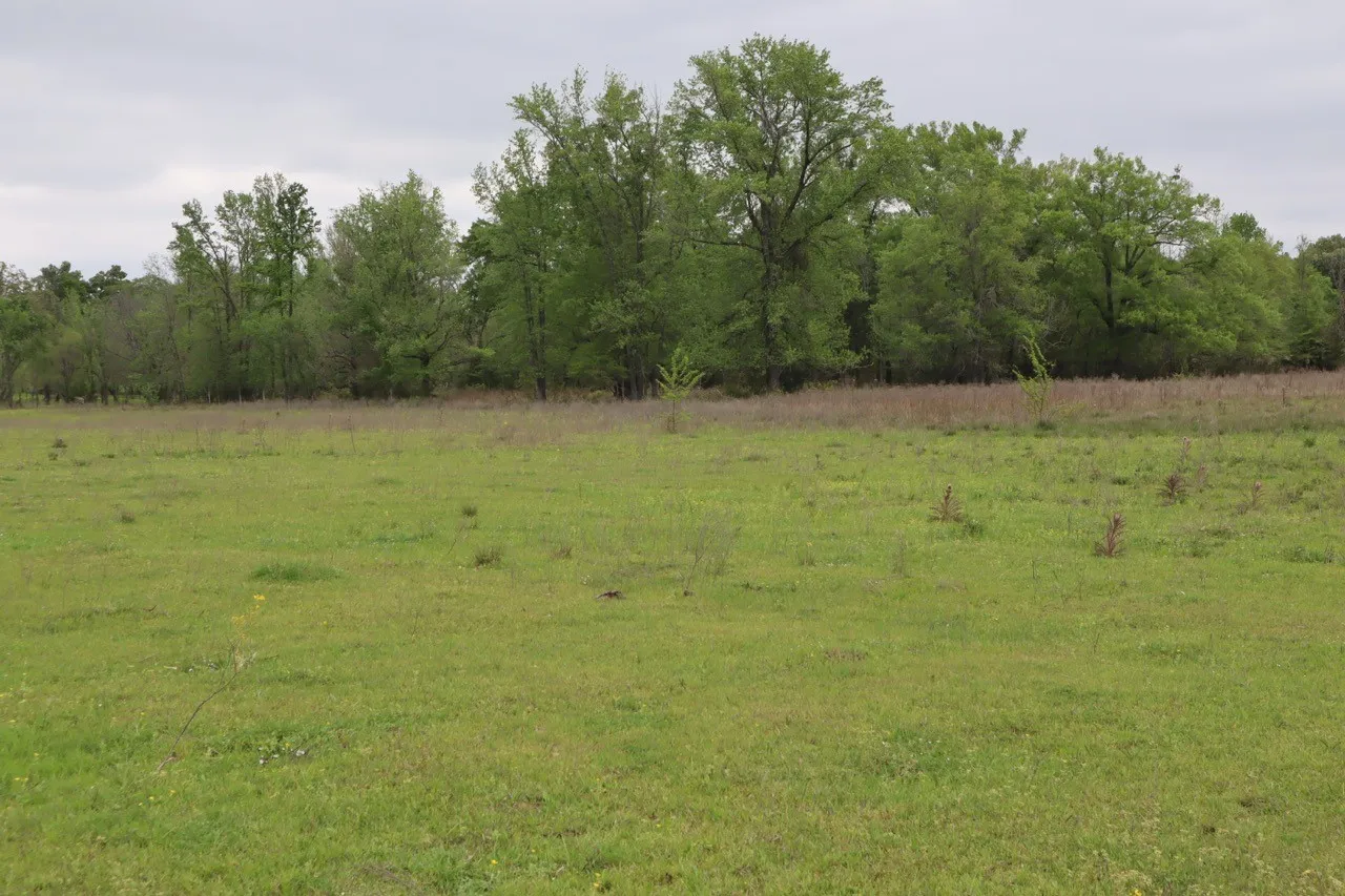 Ranch For Sale in Rains County , TBD Rs County Road 2365, Alba, Texas 75410, 0, 0, Garage spaces, 0 Sqft, built in 0, mls#20581292, Real Estate Agent in Alba, Homes For Sale in Rains county, Homes For Sale in Alba, Realtor in Alba Texas, Real Estate Brokerage Independent Realty Texas, Luminita Cordes Realtor