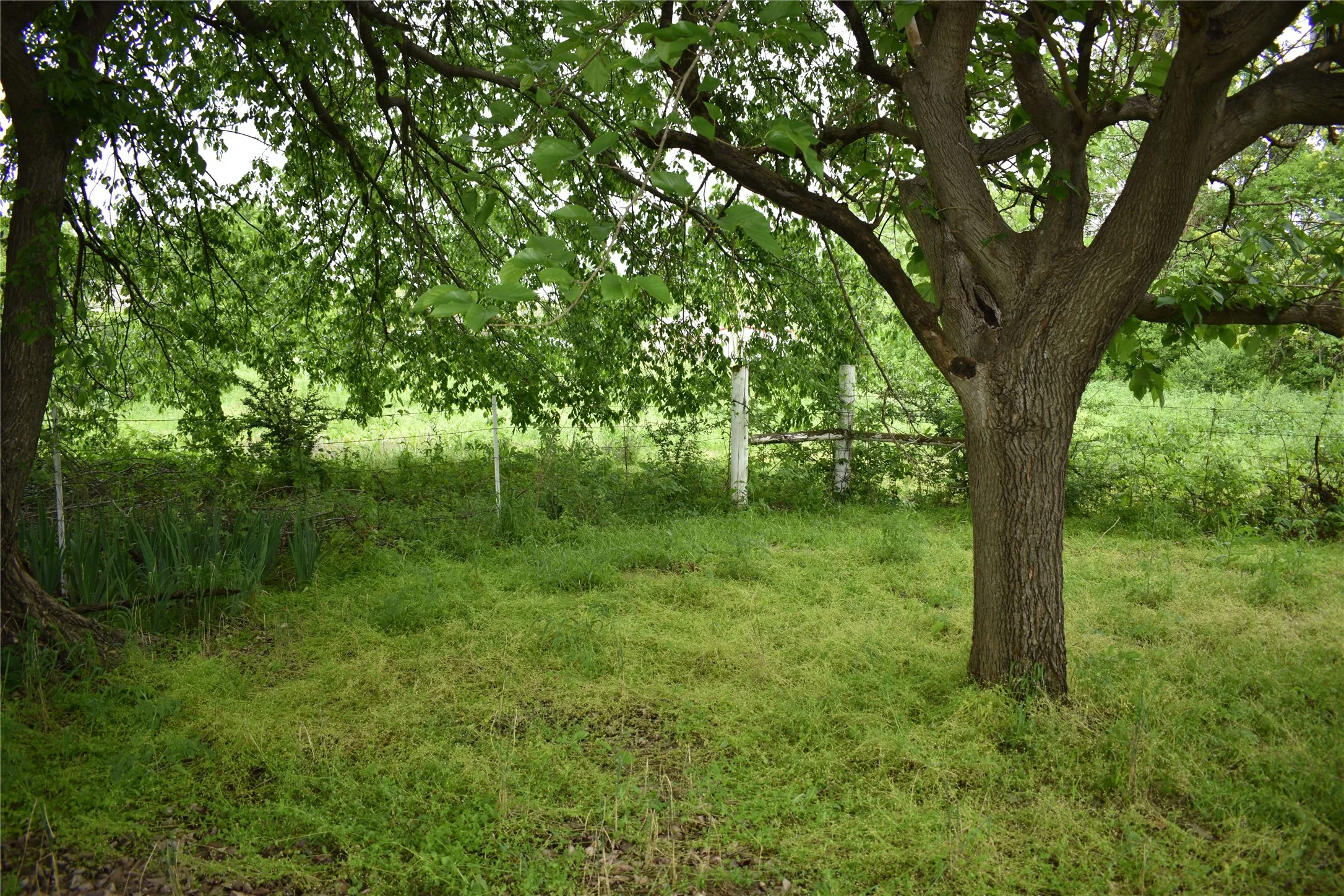 Improved Land For Sale in Denton County , 3094 Fm 428 W, Aubrey, Texas 76227, 0, 0, Garage spaces, 0 Sqft, built in 1972, Price $1,500,000, mls#20582598, Real Estate Agent in Aubrey, Homes For Sale in Denton county, Homes For Sale in Aubrey, Realtor in Aubrey Texas, Real Estate Brokerage Independent Realty Texas, Luminita Cordes Realtor