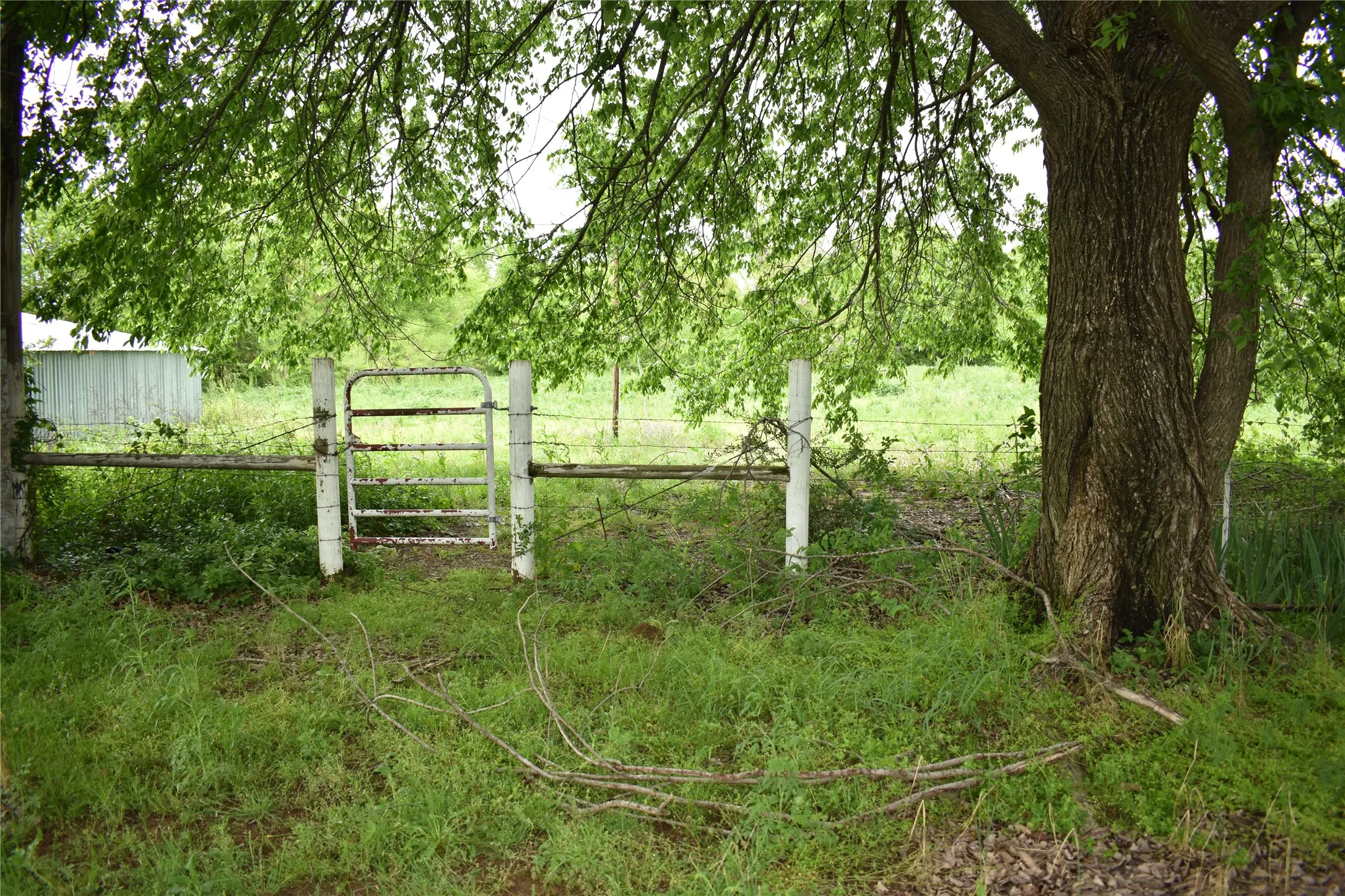 Improved Land For Sale in Denton County , 3094 Fm 428 W, Aubrey, Texas 76227, 0, 0, Garage spaces, 0 Sqft, built in 1972, Price $1,500,000, mls#20582598, Real Estate Agent in Aubrey, Homes For Sale in Denton county, Homes For Sale in Aubrey, Realtor in Aubrey Texas, Real Estate Brokerage Independent Realty Texas, Luminita Cordes Realtor