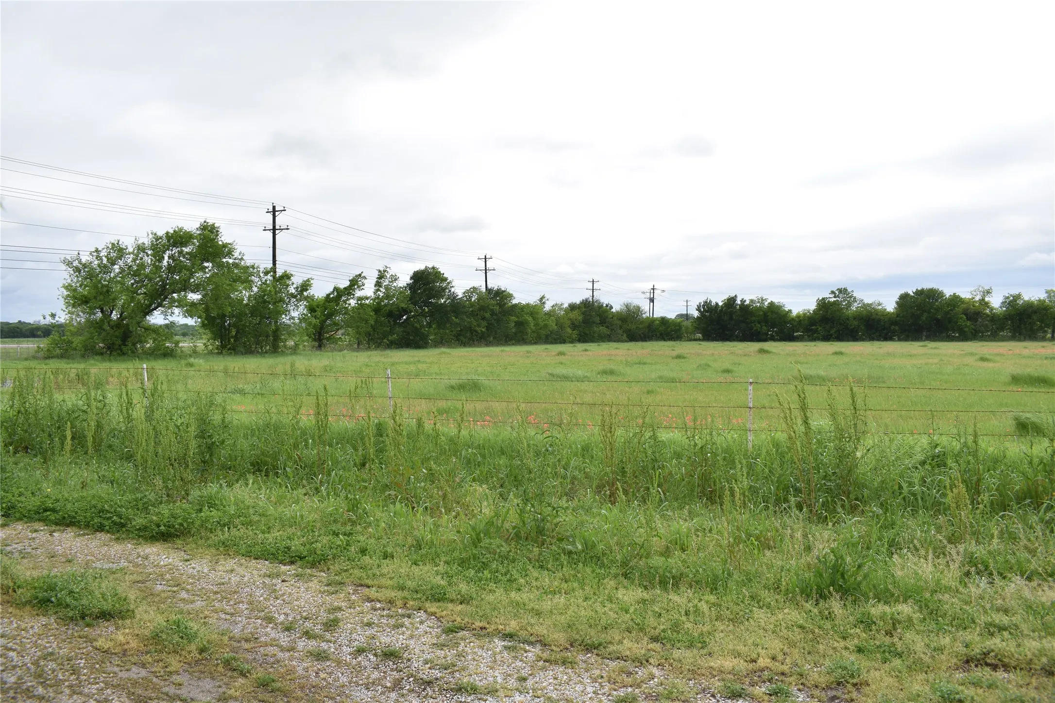 Improved Land For Sale in Denton County , 3094 Fm 428 W, Aubrey, Texas 76227, 0, 0, Garage spaces, 0 Sqft, built in 1972, Price $1,500,000, mls#20582598, Real Estate Agent in Aubrey, Homes For Sale in Denton county, Homes For Sale in Aubrey, Realtor in Aubrey Texas, Real Estate Brokerage Independent Realty Texas, Luminita Cordes Realtor