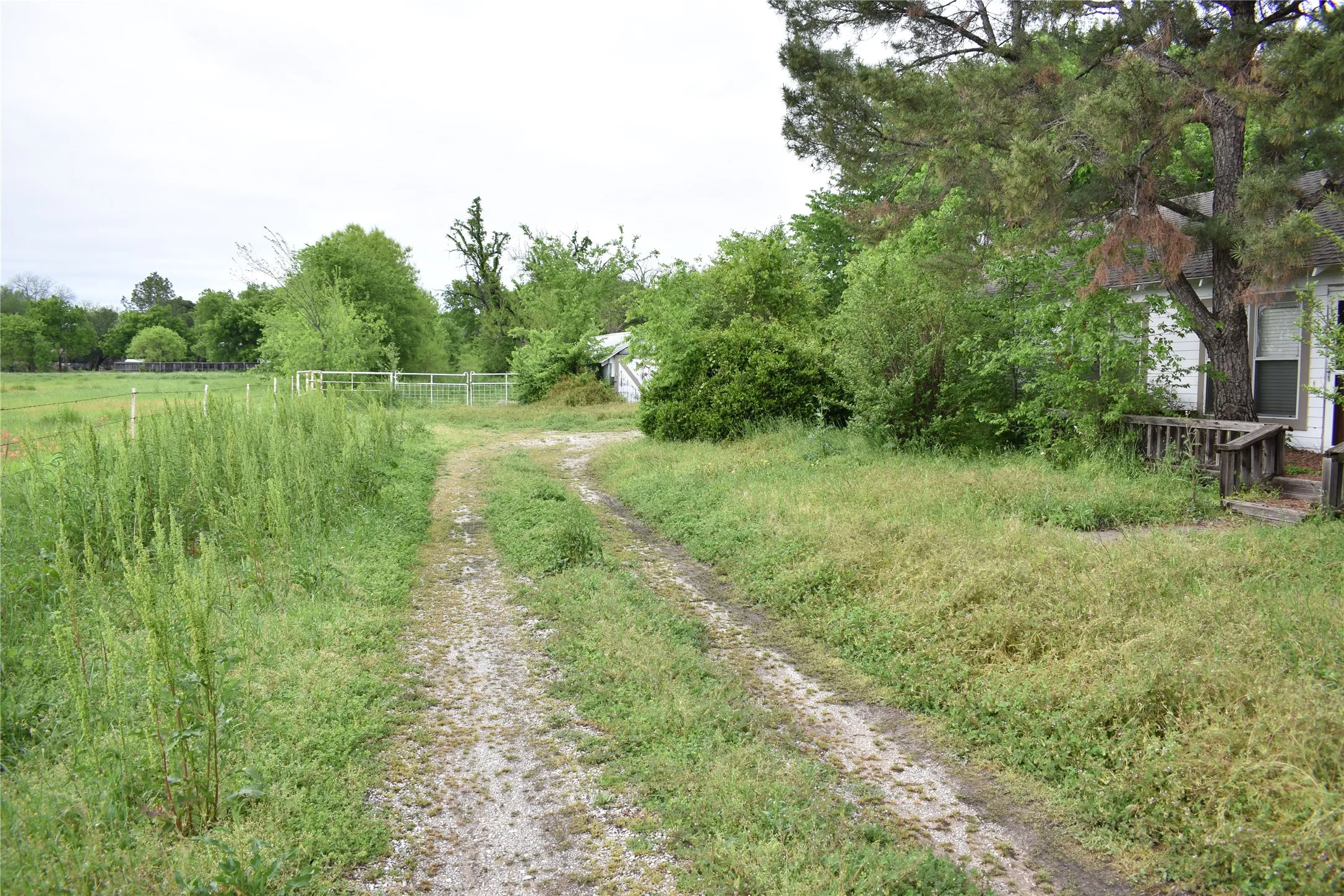 Improved Land For Sale in Denton County , 3094 Fm 428 W, Aubrey, Texas 76227, 0, 0, Garage spaces, 0 Sqft, built in 1972, Price $1,500,000, mls#20582598, Real Estate Agent in Aubrey, Homes For Sale in Denton county, Homes For Sale in Aubrey, Realtor in Aubrey Texas, Real Estate Brokerage Independent Realty Texas, Luminita Cordes Realtor