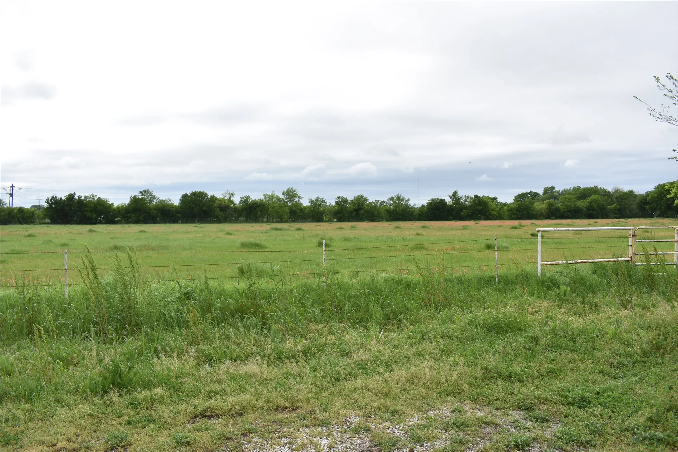 Improved Land For Sale in Denton County , 3094 Fm 428 W, Aubrey, Texas 76227, 0, 0, Garage spaces, 0 Sqft, built in 1972, Price $1,500,000, mls#20582598, Real Estate Agent in Aubrey, Homes For Sale in Denton county, Homes For Sale in Aubrey, Realtor in Aubrey Texas, Real Estate Brokerage Independent Realty Texas, Luminita Cordes Realtor