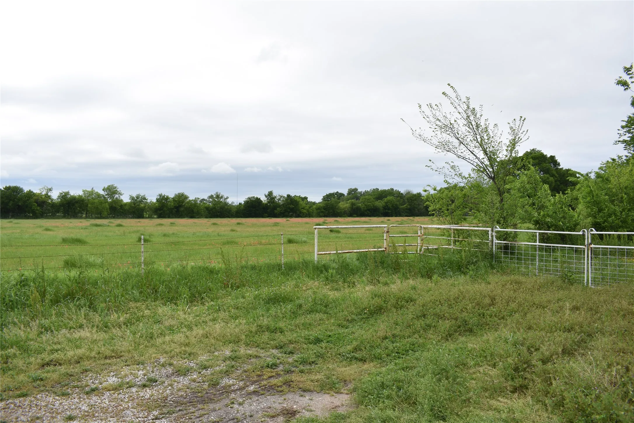 Improved Land For Sale in Denton County , 3094 Fm 428 W, Aubrey, Texas 76227, 0, 0, Garage spaces, 0 Sqft, built in 1972, Price $1,500,000, mls#20582598, Real Estate Agent in Aubrey, Homes For Sale in Denton county, Homes For Sale in Aubrey, Realtor in Aubrey Texas, Real Estate Brokerage Independent Realty Texas, Luminita Cordes Realtor