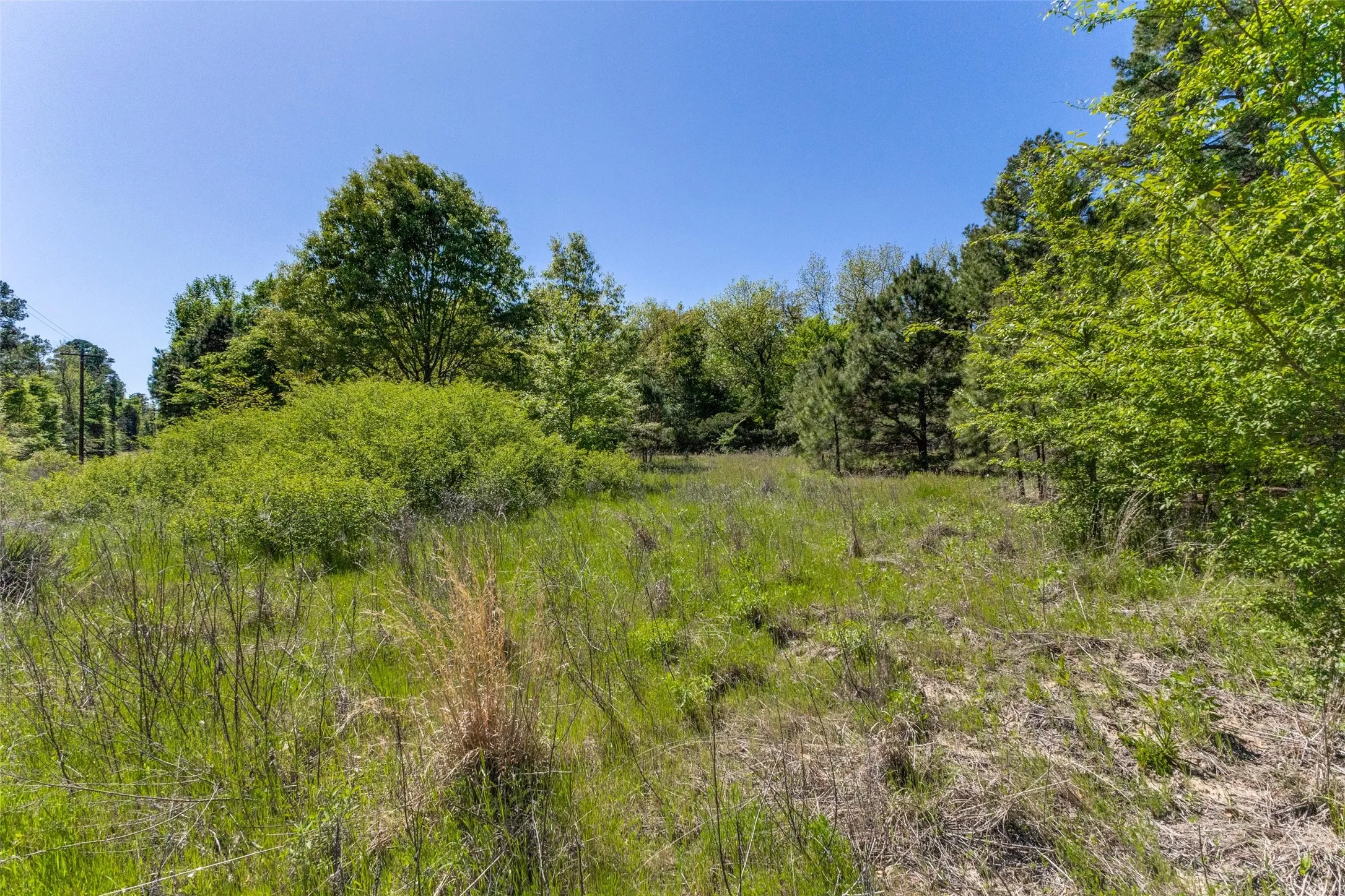Unimproved Land For Sale in Wood County , 0 S FM 14, Hawkins, Texas 75773, 0, 0, Garage spaces, 0 Sqft, built in 0, mls#20584344, Real Estate Agent in Hawkins, Homes For Sale in Wood county, Homes For Sale in Hawkins, Realtor in Hawkins Texas, Real Estate Brokerage Independent Realty Texas, Luminita Cordes Realtor