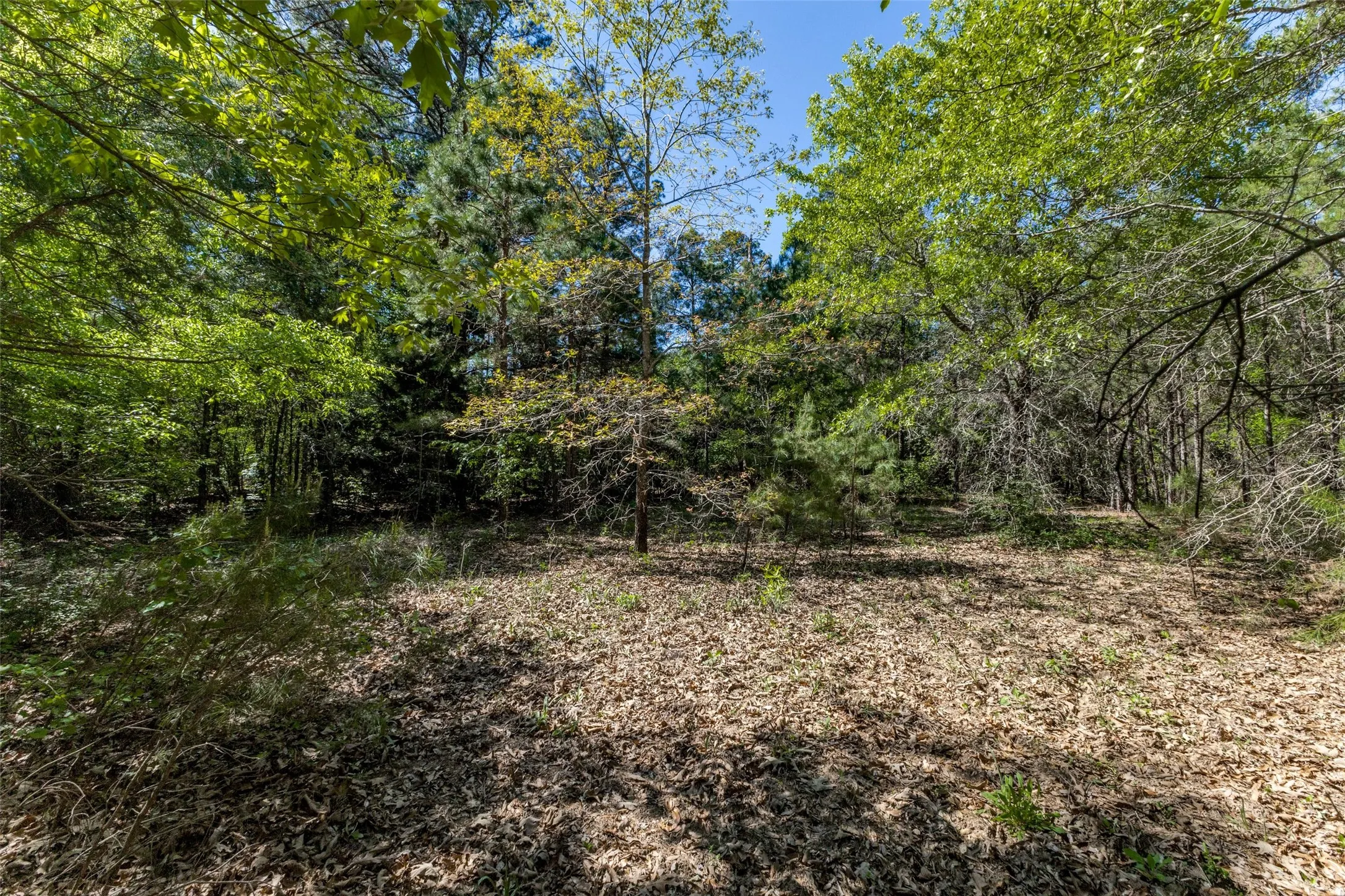 Unimproved Land For Sale in Wood County , 0 S FM 14, Hawkins, Texas 75773, 0, 0, Garage spaces, 0 Sqft, built in 0, mls#20584344, Real Estate Agent in Hawkins, Homes For Sale in Wood county, Homes For Sale in Hawkins, Realtor in Hawkins Texas, Real Estate Brokerage Independent Realty Texas, Luminita Cordes Realtor