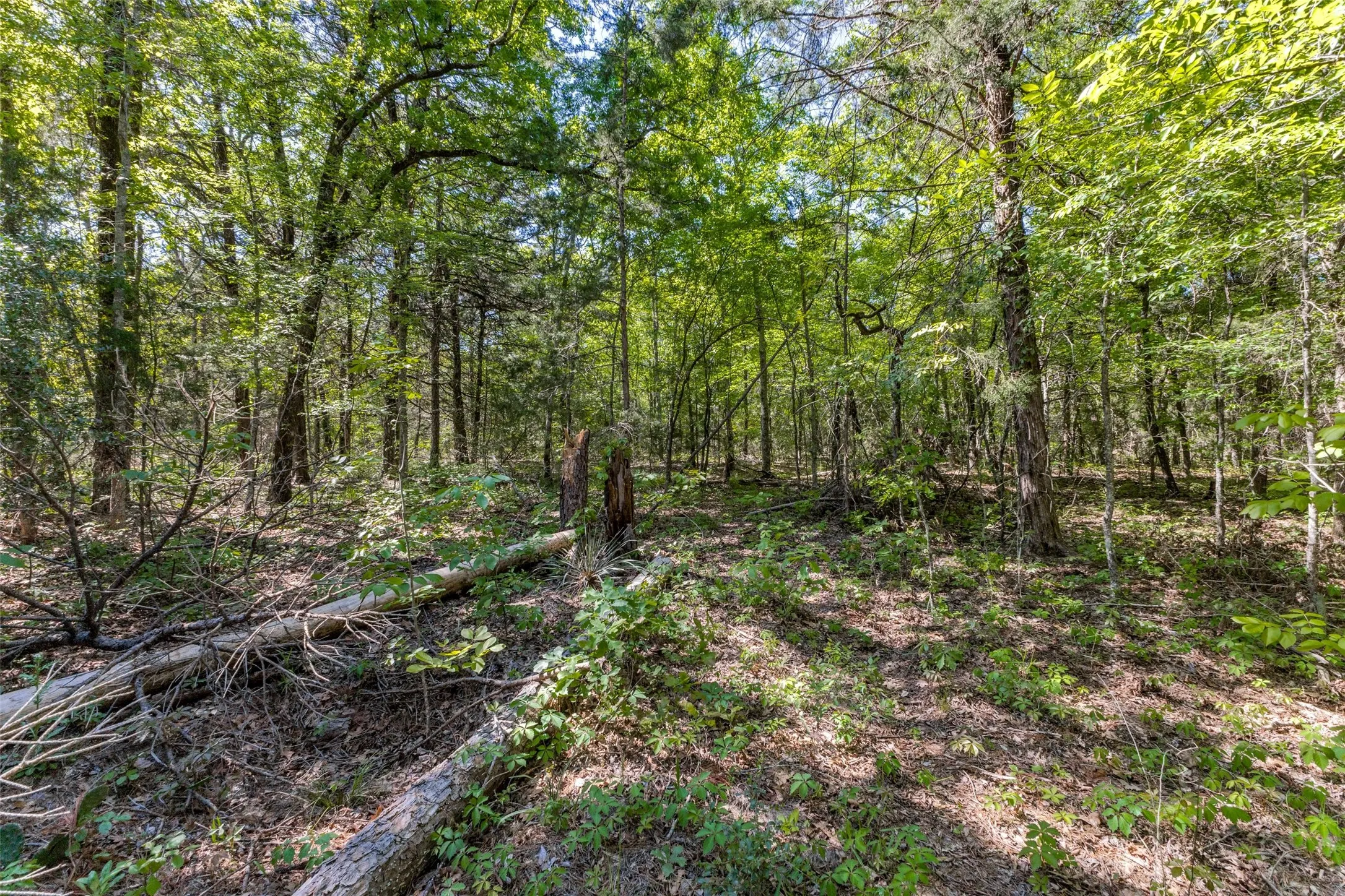 Unimproved Land For Sale in Wood County , 0 S FM 14, Hawkins, Texas 75773, 0, 0, Garage spaces, 0 Sqft, built in 0, mls#20584344, Real Estate Agent in Hawkins, Homes For Sale in Wood county, Homes For Sale in Hawkins, Realtor in Hawkins Texas, Real Estate Brokerage Independent Realty Texas, Luminita Cordes Realtor