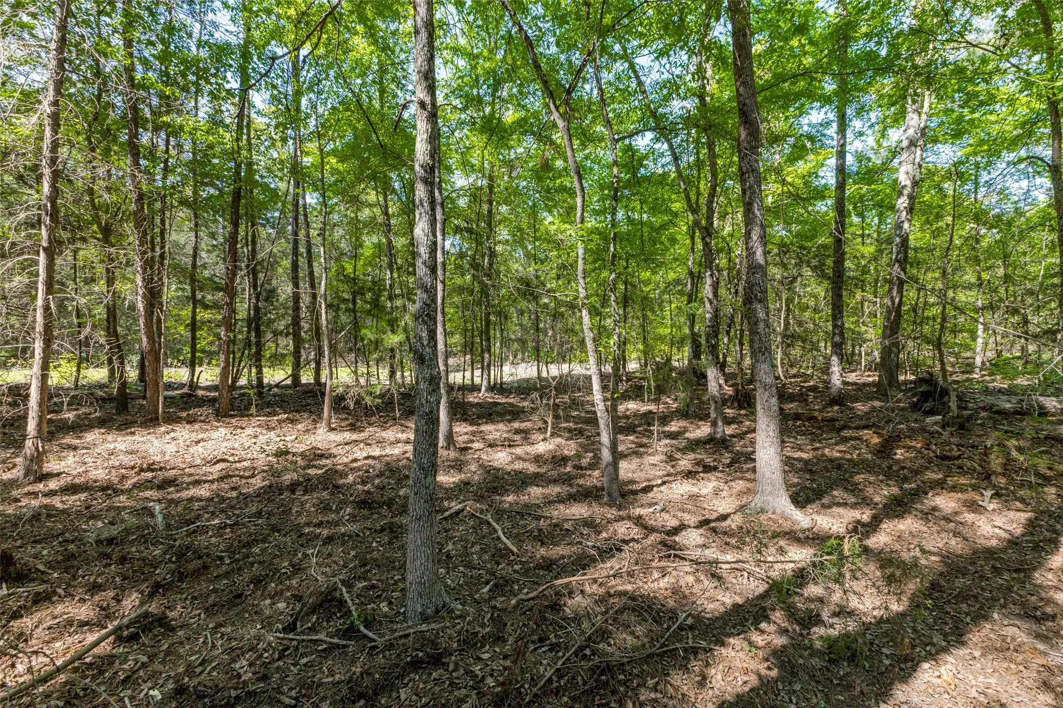 Unimproved Land For Sale in Wood County , 0 S FM 14, Hawkins, Texas 75773, 0, 0, Garage spaces, 0 Sqft, built in 0, mls#20584344, Real Estate Agent in Hawkins, Homes For Sale in Wood county, Homes For Sale in Hawkins, Realtor in Hawkins Texas, Real Estate Brokerage Independent Realty Texas, Luminita Cordes Realtor