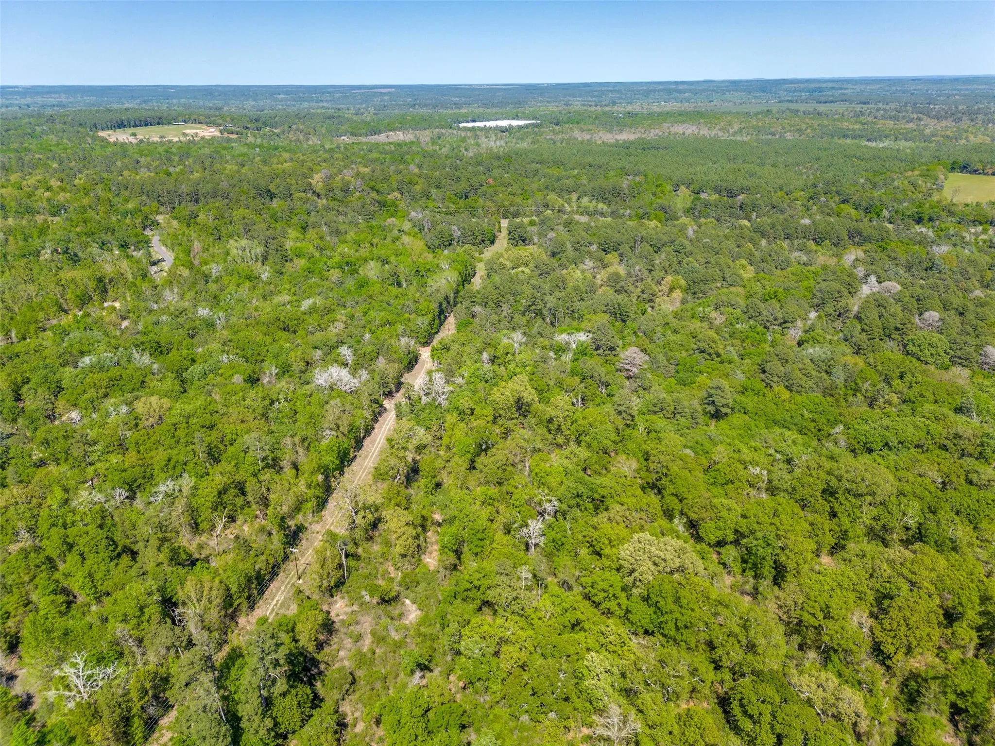 Unimproved Land For Sale in Wood County , 0 S FM 14, Hawkins, Texas 75773, 0, 0, Garage spaces, 0 Sqft, built in 0, mls#20584344, Real Estate Agent in Hawkins, Homes For Sale in Wood county, Homes For Sale in Hawkins, Realtor in Hawkins Texas, Real Estate Brokerage Independent Realty Texas, Luminita Cordes Realtor