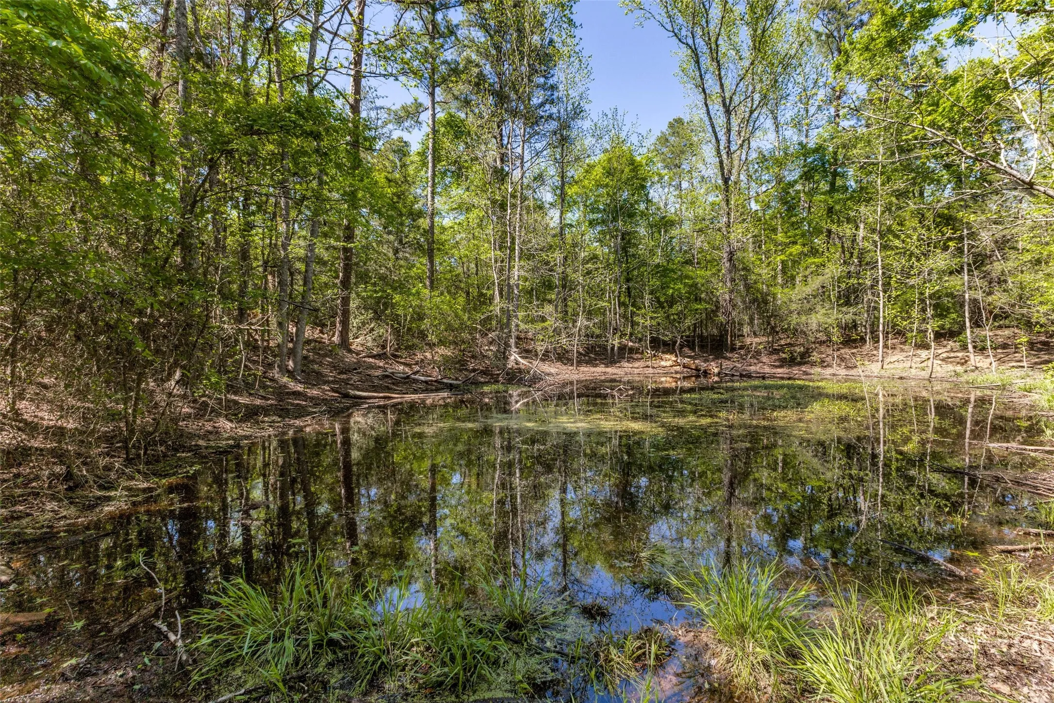 Unimproved Land For Sale in Wood County , 0 S FM 14, Hawkins, Texas 75773, 0, 0, Garage spaces, 0 Sqft, built in 0, mls#20584344, Real Estate Agent in Hawkins, Homes For Sale in Wood county, Homes For Sale in Hawkins, Realtor in Hawkins Texas, Real Estate Brokerage Independent Realty Texas, Luminita Cordes Realtor