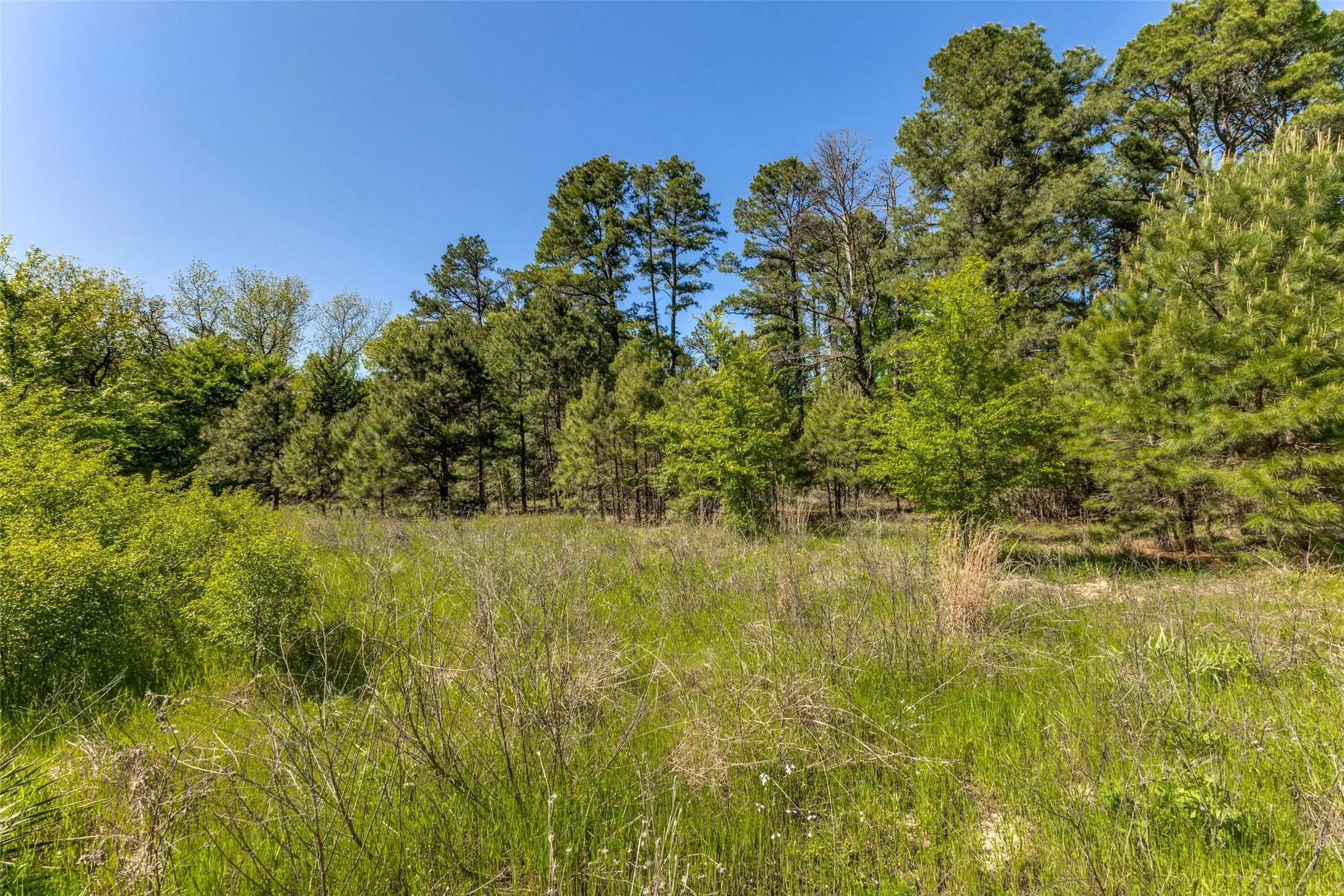 Unimproved Land For Sale in Wood County , 0 S FM 14, Hawkins, Texas 75773, 0, 0, Garage spaces, 0 Sqft, built in 0, mls#20584344, Real Estate Agent in Hawkins, Homes For Sale in Wood county, Homes For Sale in Hawkins, Realtor in Hawkins Texas, Real Estate Brokerage Independent Realty Texas, Luminita Cordes Realtor