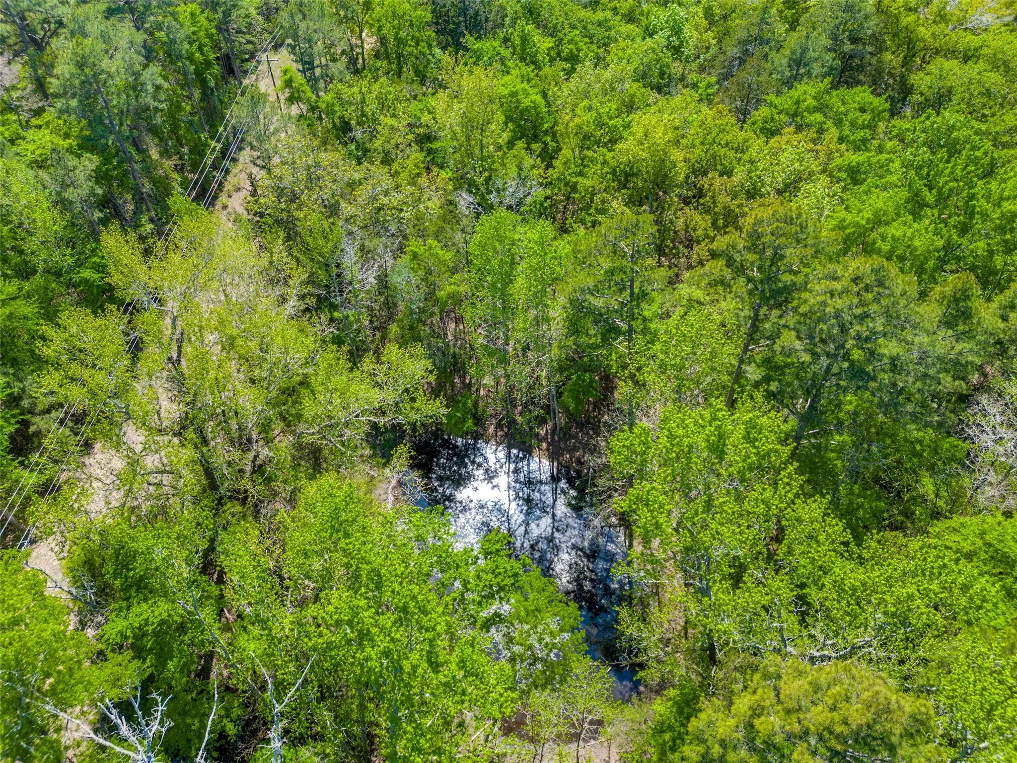 Unimproved Land For Sale in Wood County , 0 S FM 14, Hawkins, Texas 75773, 0, 0, Garage spaces, 0 Sqft, built in 0, mls#20584344, Real Estate Agent in Hawkins, Homes For Sale in Wood county, Homes For Sale in Hawkins, Realtor in Hawkins Texas, Real Estate Brokerage Independent Realty Texas, Luminita Cordes Realtor
