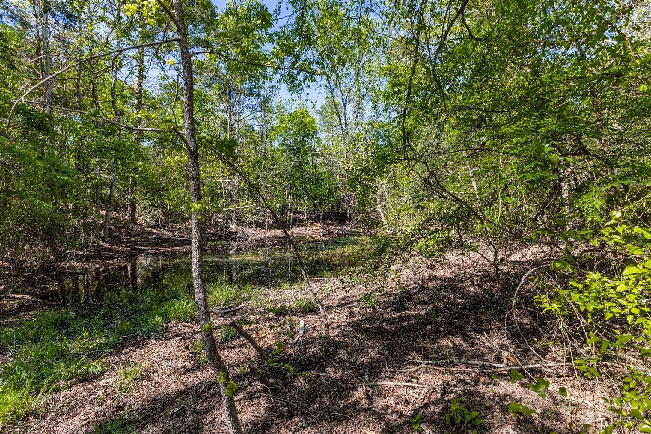 Unimproved Land For Sale in Wood County , 0 S FM 14, Hawkins, Texas 75773, 0, 0, Garage spaces, 0 Sqft, built in 0, mls#20584344, Real Estate Agent in Hawkins, Homes For Sale in Wood county, Homes For Sale in Hawkins, Realtor in Hawkins Texas, Real Estate Brokerage Independent Realty Texas, Luminita Cordes Realtor