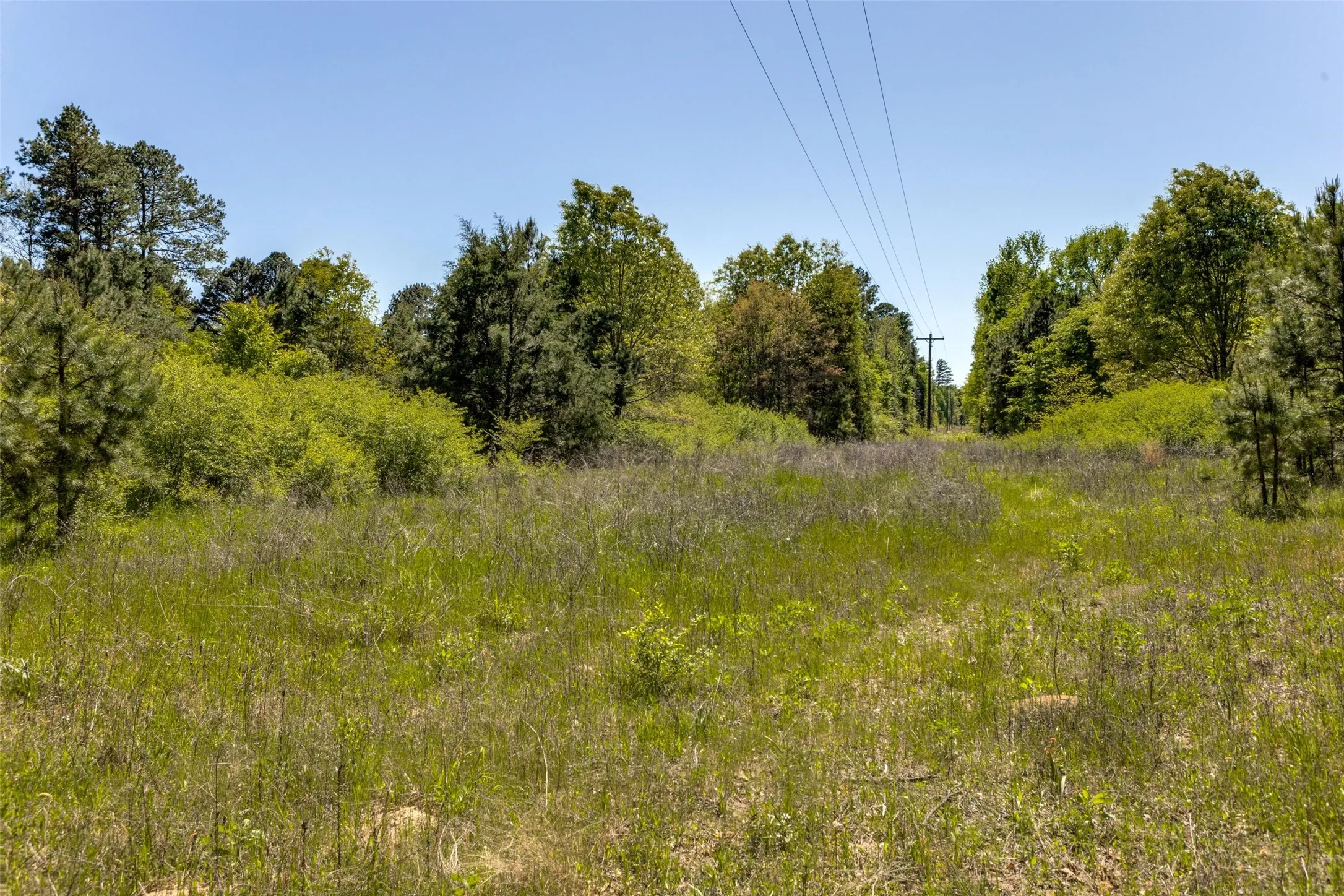 Unimproved Land For Sale in Wood County , 0 S FM 14, Hawkins, Texas 75773, 0, 0, Garage spaces, 0 Sqft, built in 0, mls#20584344, Real Estate Agent in Hawkins, Homes For Sale in Wood county, Homes For Sale in Hawkins, Realtor in Hawkins Texas, Real Estate Brokerage Independent Realty Texas, Luminita Cordes Realtor