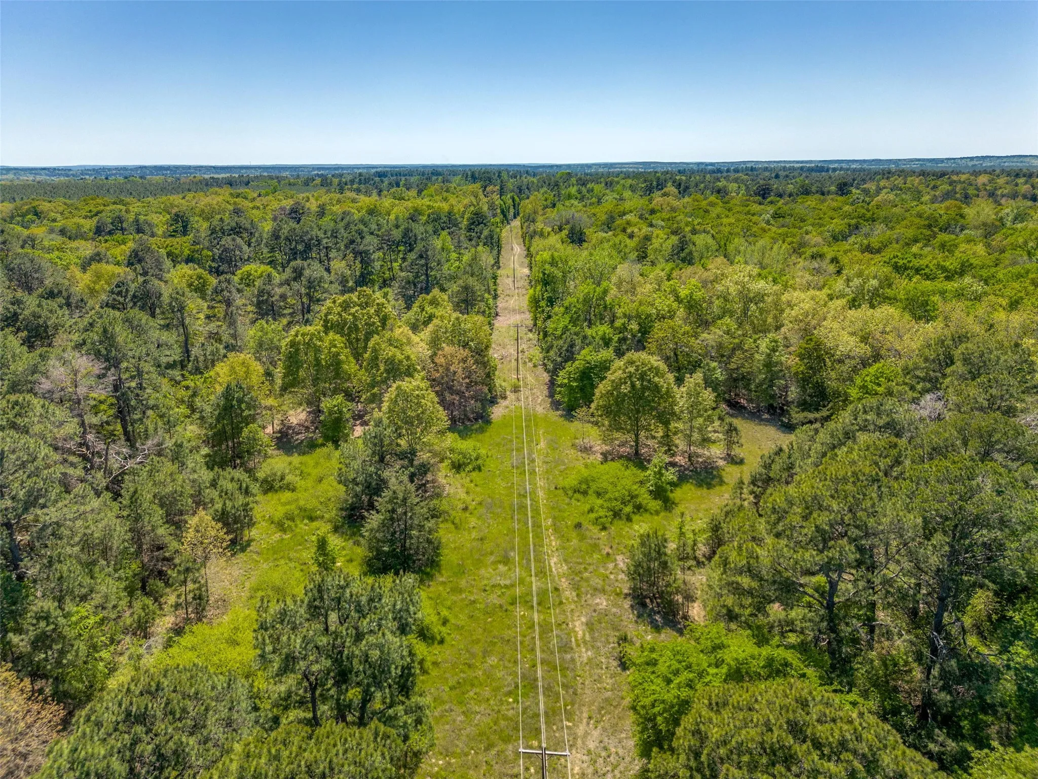 Unimproved Land For Sale in Wood County , 0 S FM 14, Hawkins, Texas 75773, 0, 0, Garage spaces, 0 Sqft, built in 0, mls#20584344, Real Estate Agent in Hawkins, Homes For Sale in Wood county, Homes For Sale in Hawkins, Realtor in Hawkins Texas, Real Estate Brokerage Independent Realty Texas, Luminita Cordes Realtor