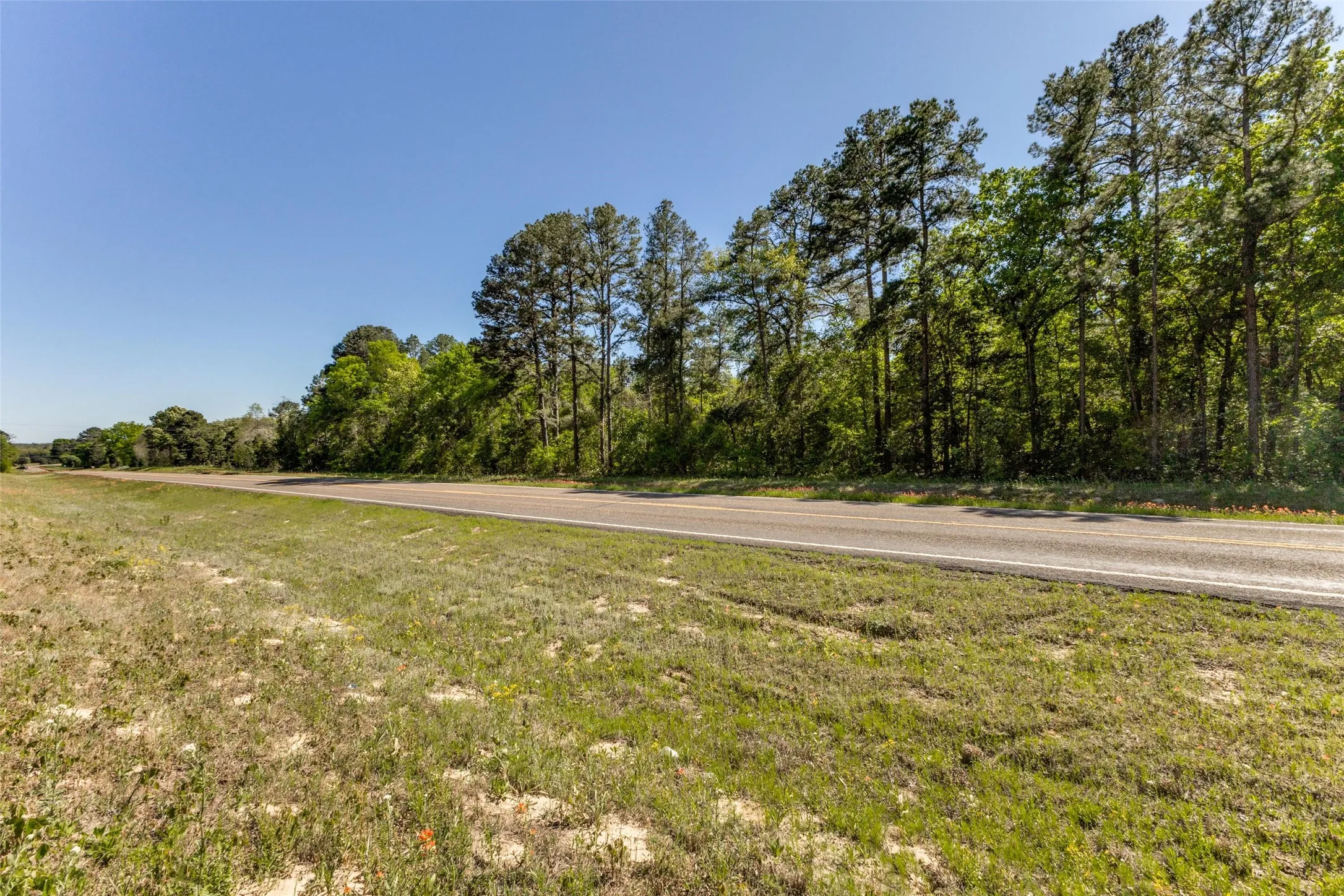 Unimproved Land For Sale in Wood County , 0 S FM 14, Hawkins, Texas 75773, 0, 0, Garage spaces, 0 Sqft, built in 0, mls#20584344, Real Estate Agent in Hawkins, Homes For Sale in Wood county, Homes For Sale in Hawkins, Realtor in Hawkins Texas, Real Estate Brokerage Independent Realty Texas, Luminita Cordes Realtor