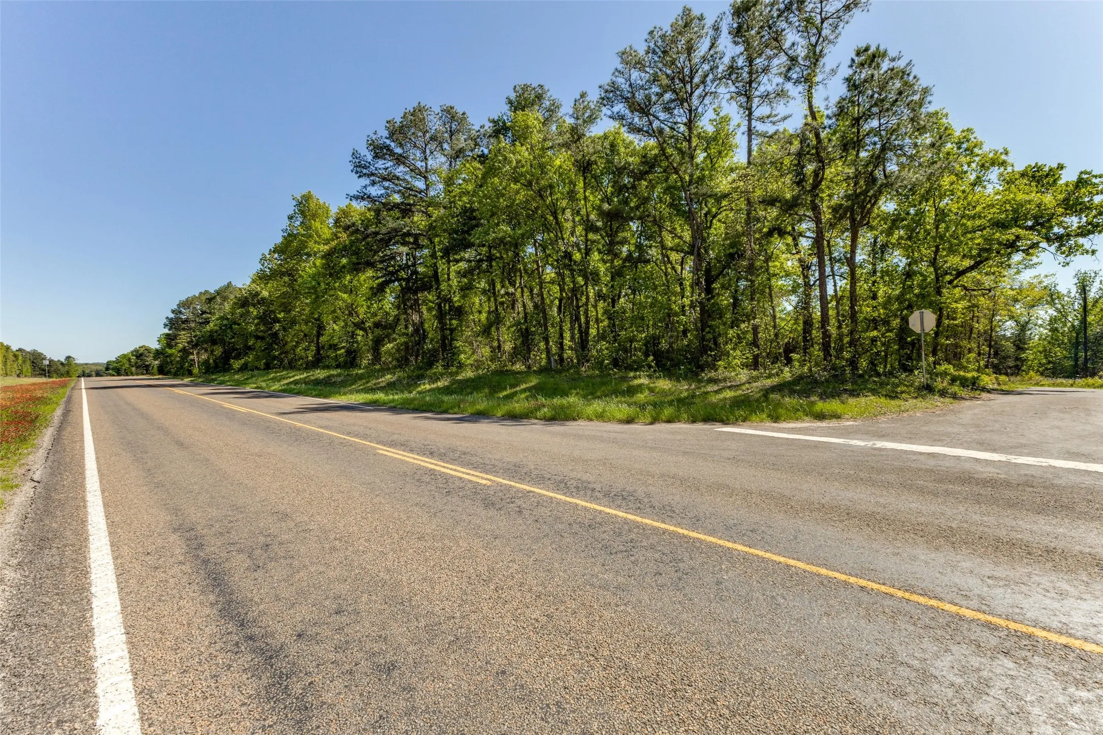 Unimproved Land For Sale in Wood County , 0 S FM 14, Hawkins, Texas 75773, 0, 0, Garage spaces, 0 Sqft, built in 0, mls#20584344, Real Estate Agent in Hawkins, Homes For Sale in Wood county, Homes For Sale in Hawkins, Realtor in Hawkins Texas, Real Estate Brokerage Independent Realty Texas, Luminita Cordes Realtor