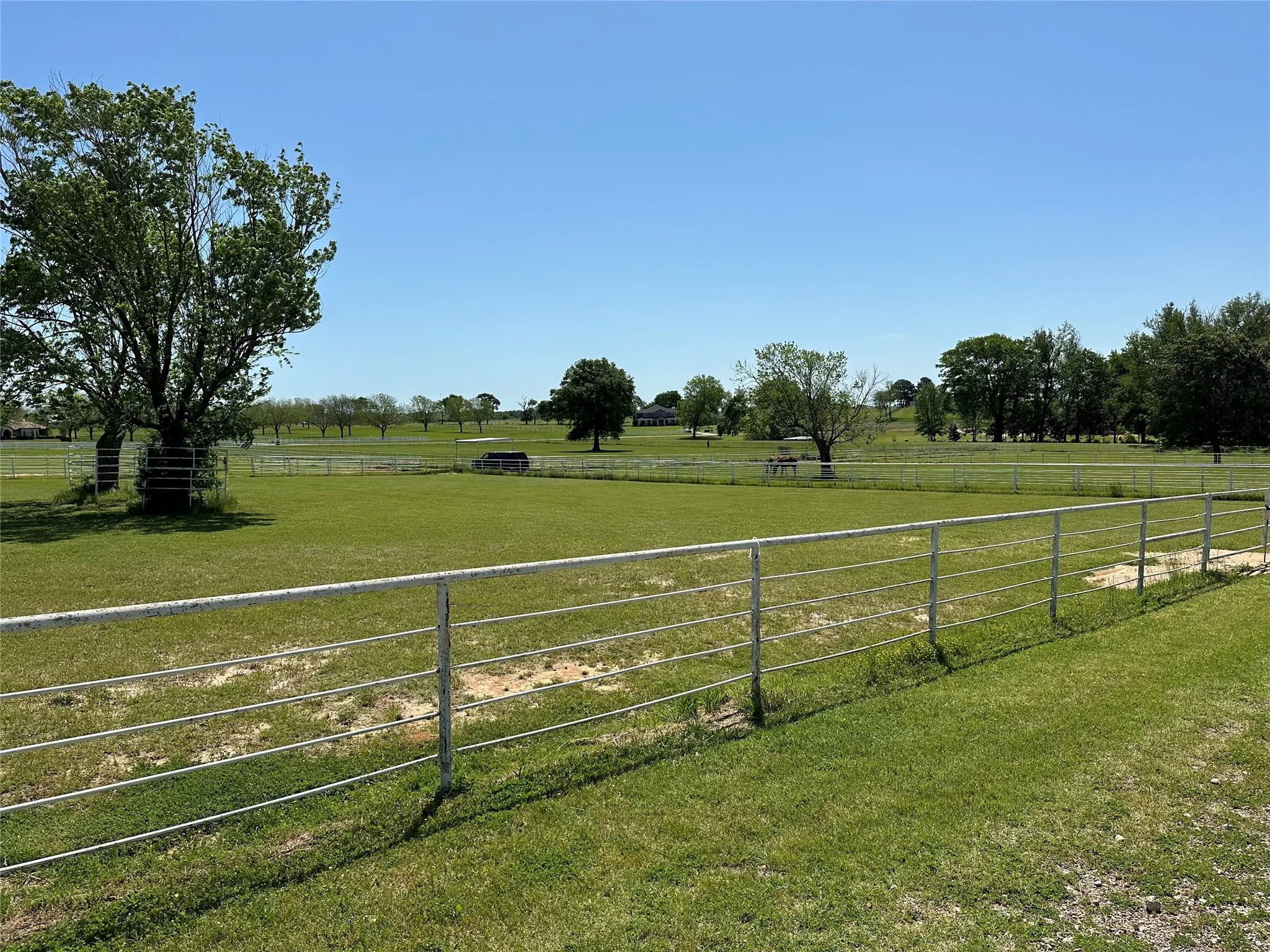 Unimproved Land For Sale in Smith County , 23710 Champion Drive, Lindale, Texas 75771, 0, 0, Garage spaces, 0 Sqft, built in 0, Price $225,000, mls#20586555, Real Estate Agent in Lindale, Homes For Sale in Smith county, Homes For Sale in Lindale, Realtor in Lindale Texas, Real Estate Brokerage Independent Realty Texas, Luminita Cordes Realtor