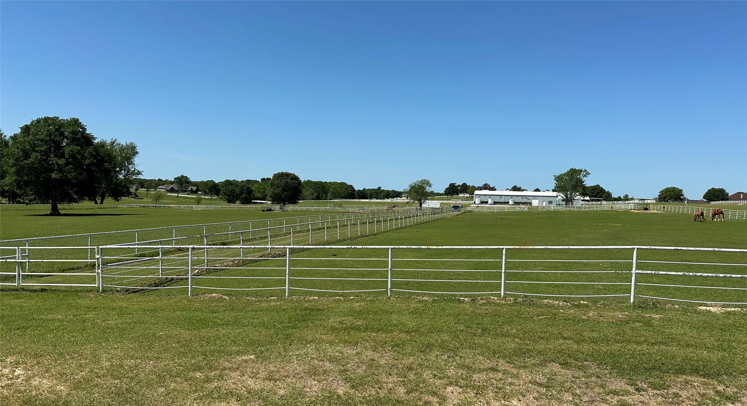 Unimproved Land For Sale in Smith County , 23710 Champion Drive, Lindale, Texas 75771, 0, 0, Garage spaces, 0 Sqft, built in 0, Price $225,000, mls#20586555, Real Estate Agent in Lindale, Homes For Sale in Smith county, Homes For Sale in Lindale, Realtor in Lindale Texas, Real Estate Brokerage Independent Realty Texas, Luminita Cordes Realtor