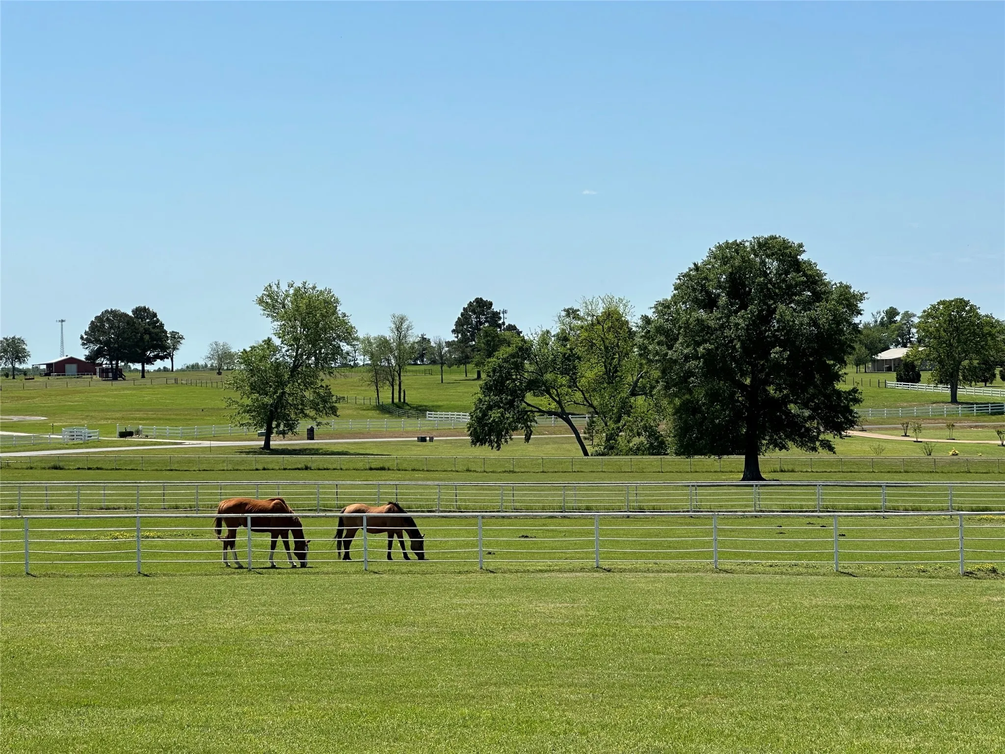 Unimproved Land For Sale in Smith County , 23710 Champion Drive, Lindale, Texas 75771, 0, 0, Garage spaces, 0 Sqft, built in 0, Price $225,000, mls#20586555, Real Estate Agent in Lindale, Homes For Sale in Smith county, Homes For Sale in Lindale, Realtor in Lindale Texas, Real Estate Brokerage Independent Realty Texas, Luminita Cordes Realtor