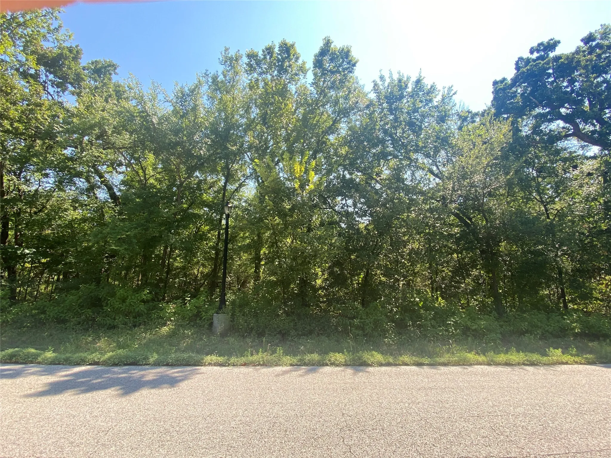 View of road
