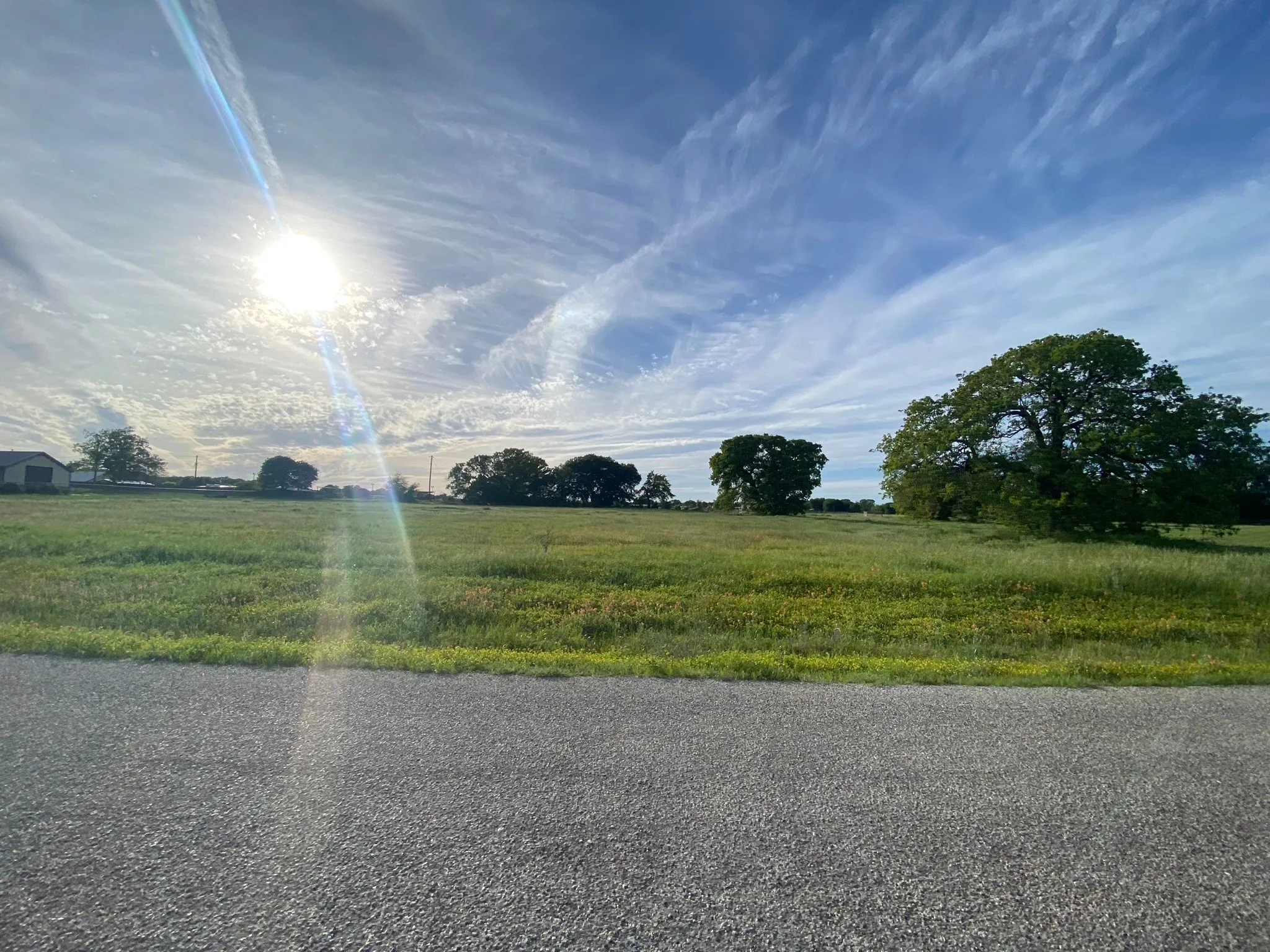 View of road featuring a rural view of lot area