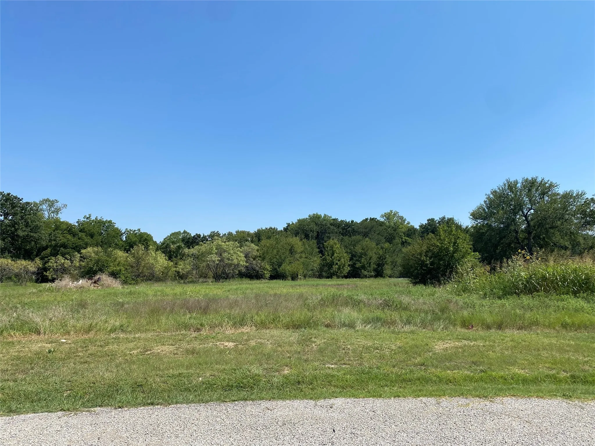 Lot view