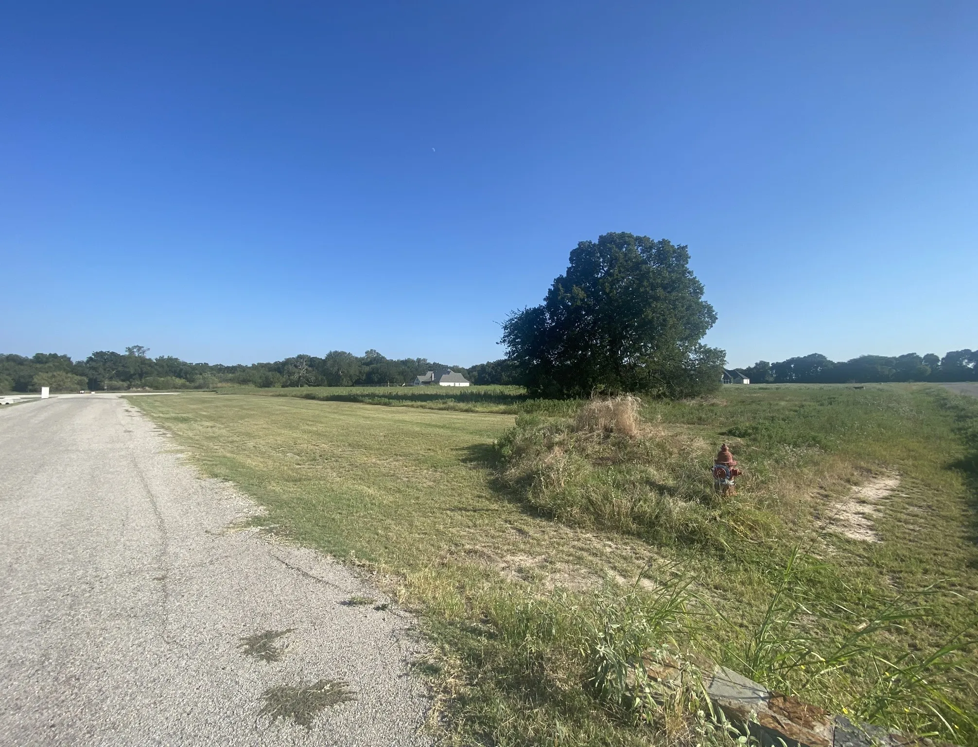 View of Lot 24 100 Beaver Creek Court
