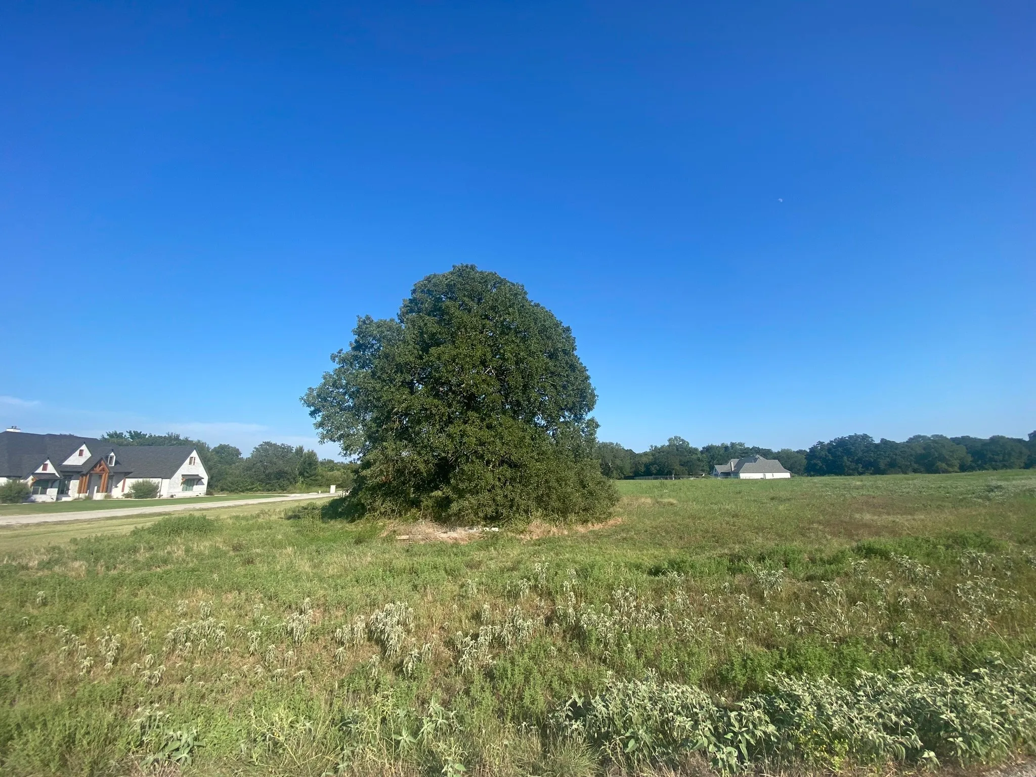 View of Lot 24 100 Beaver Creek Court
