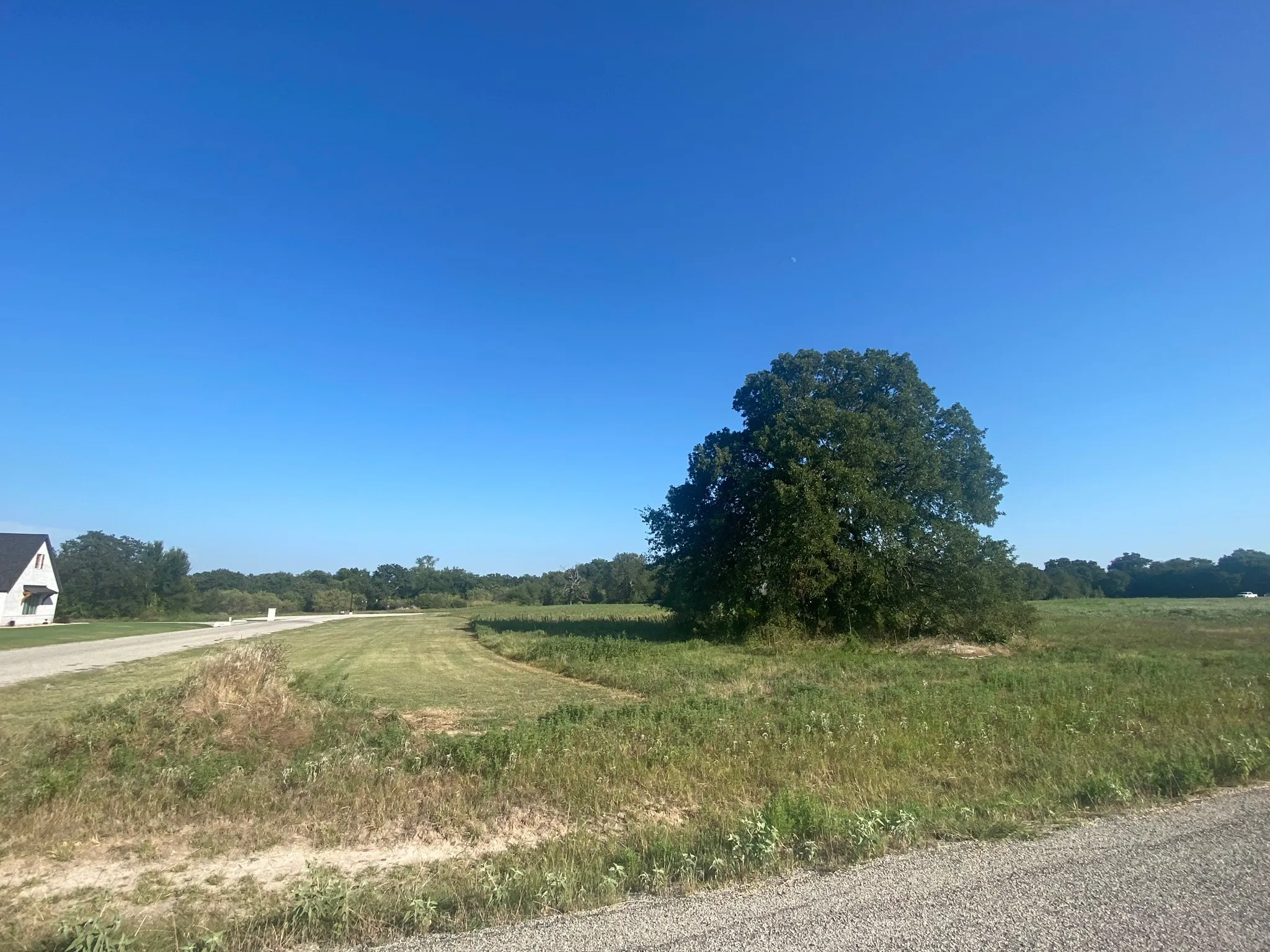 View of Lot 24 100 Beaver Creek Court
