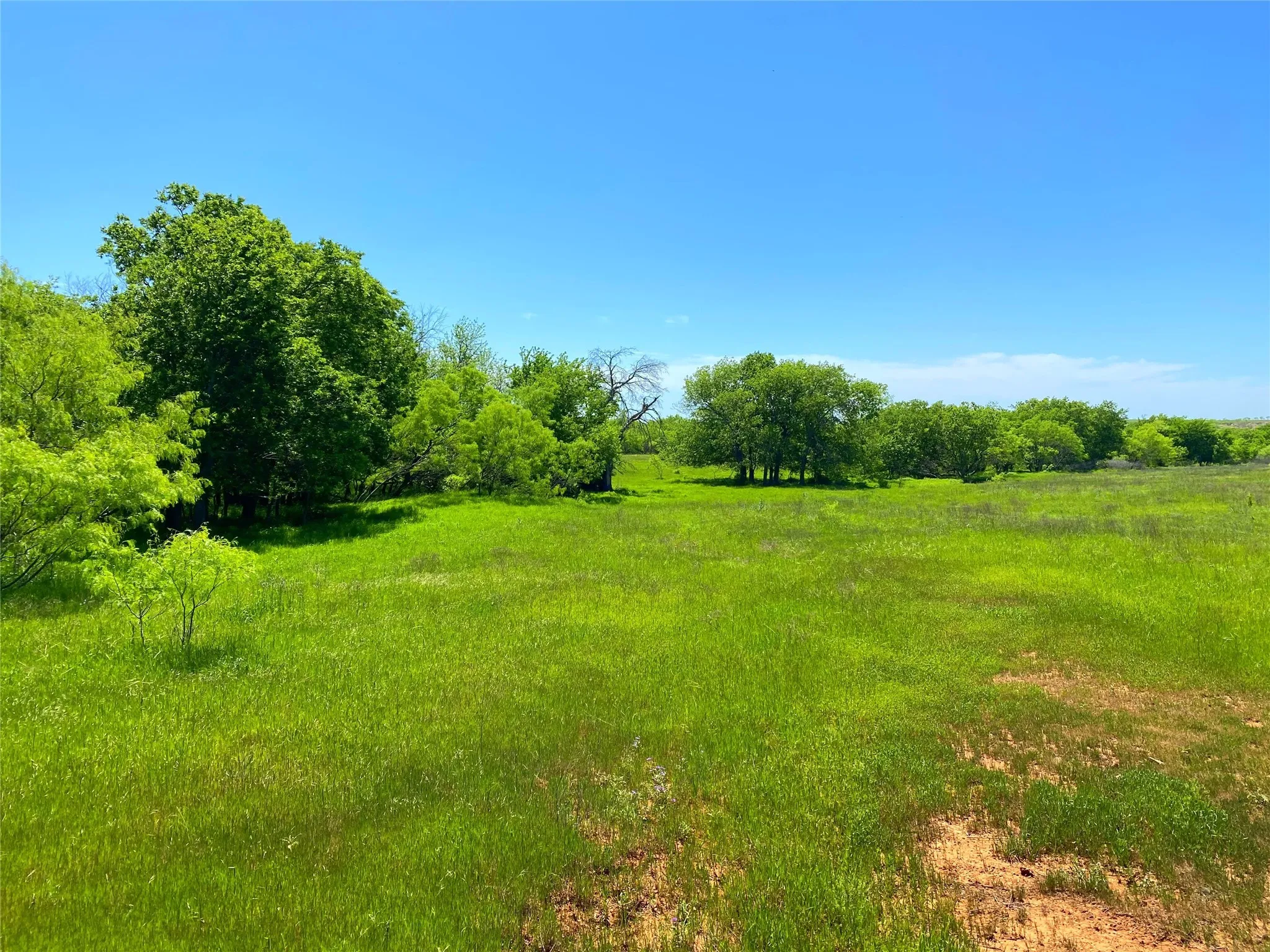 View of local wilderness with a rural view