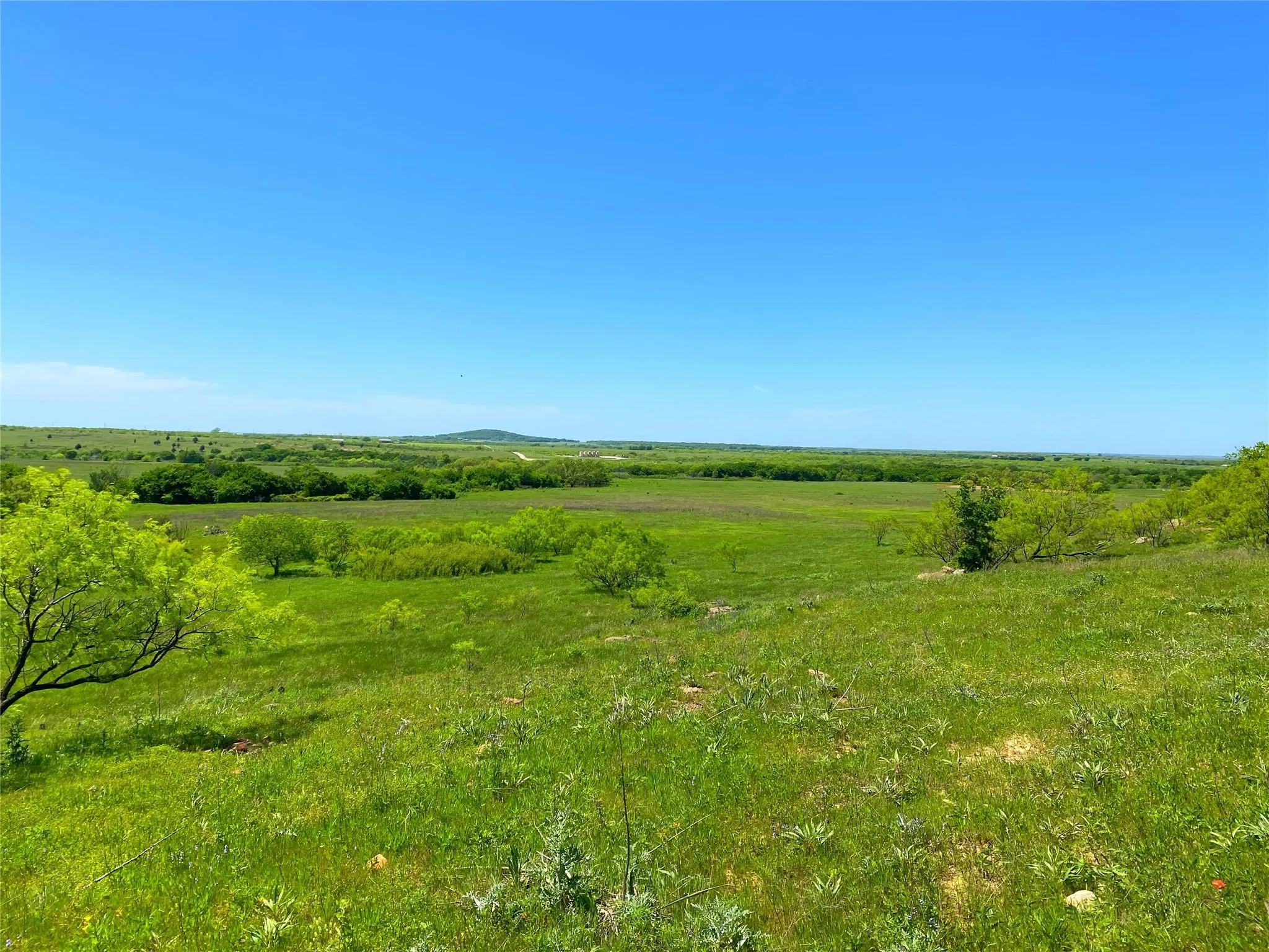 View of local wilderness featuring a rural view
