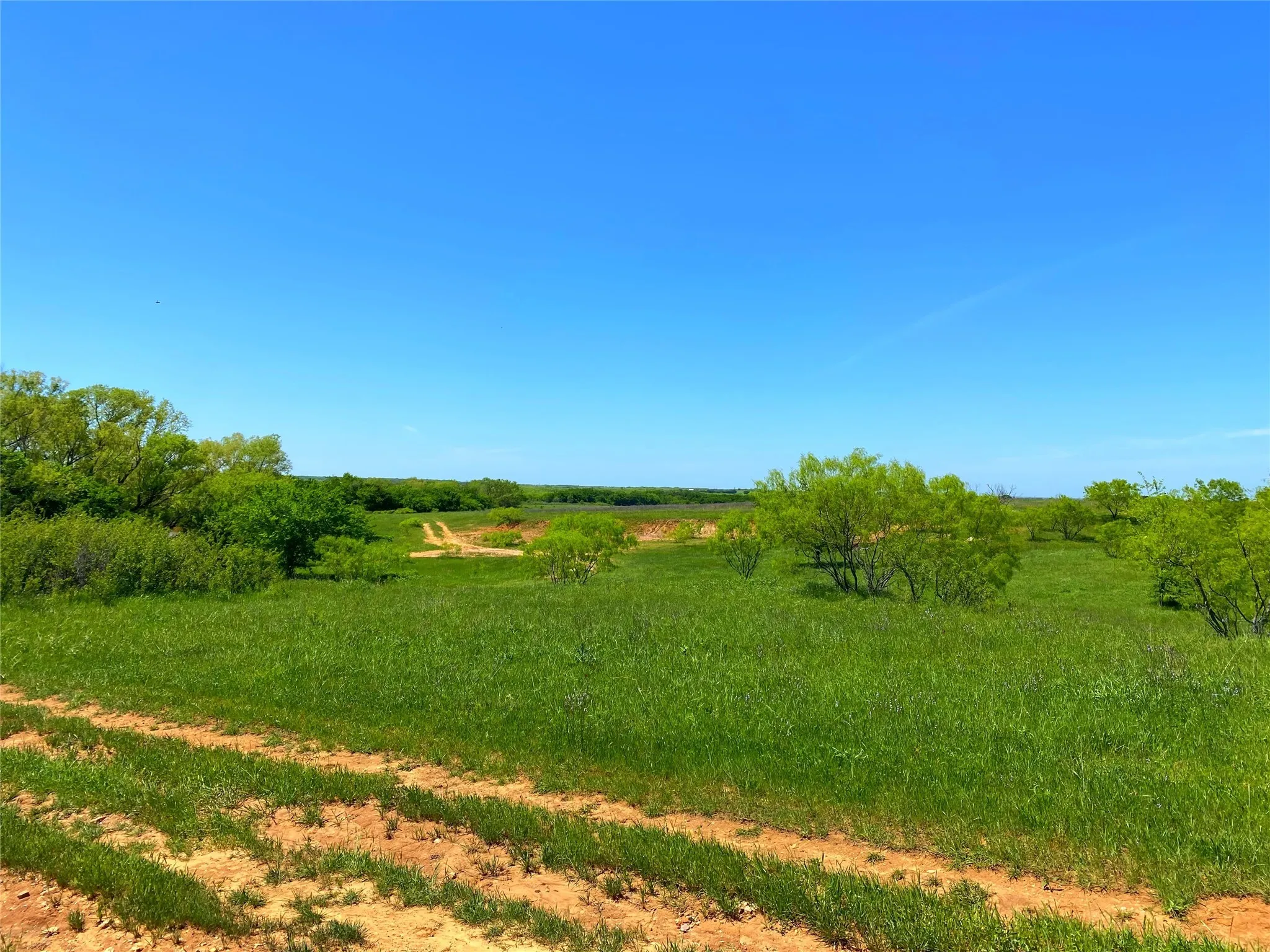 View of nature with a rural view