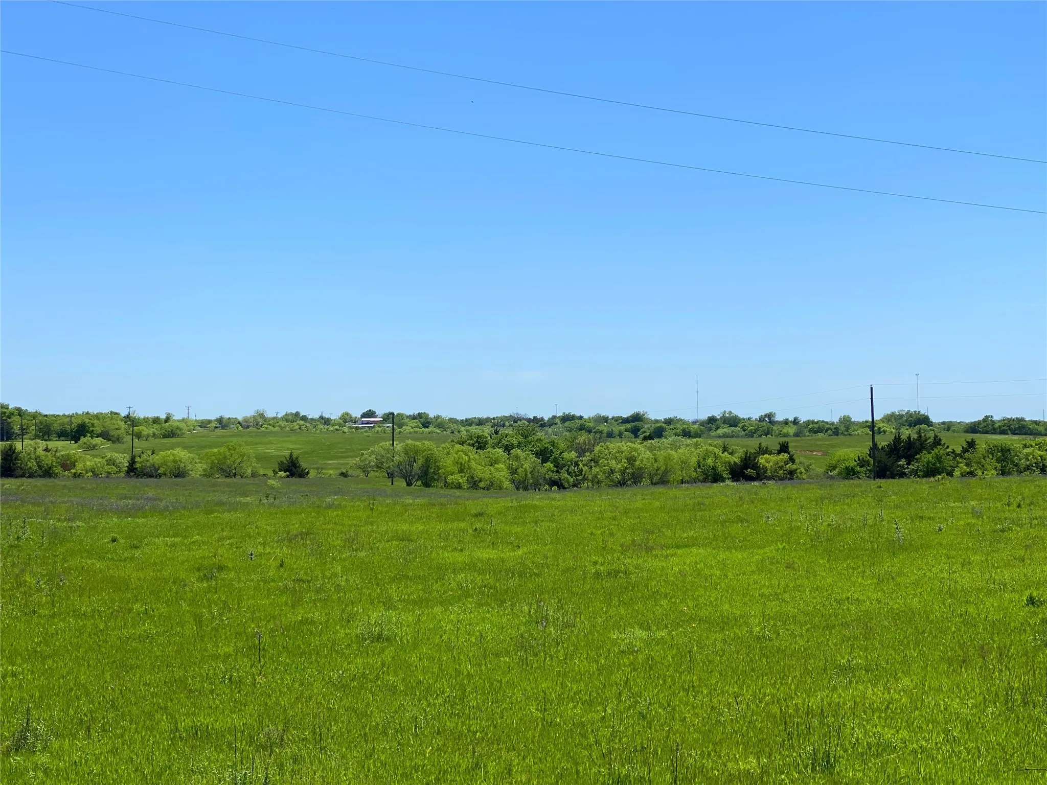 View of local wilderness with a rural view