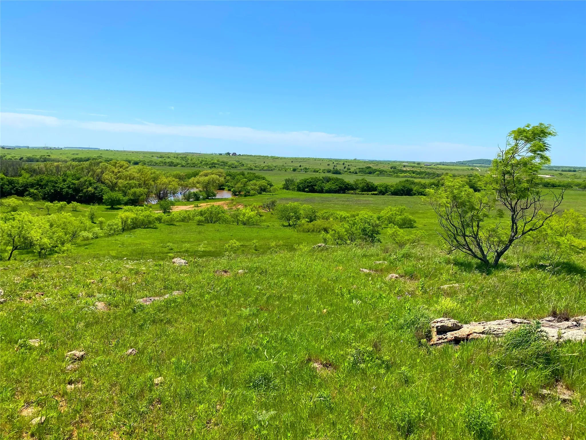 Ranch For Sale in Montague County , 2683 N Highway 81, Bowie, Texas 76230, 0, 0, Garage spaces, 0 Sqft, built in 0, Price $4,125,000, mls#20594677, Real Estate Agent in Bowie, Homes For Sale in Montague county, Homes For Sale in Bowie, Realtor in Bowie Texas, Real Estate Brokerage Independent Realty Texas, Luminita Cordes Realtor