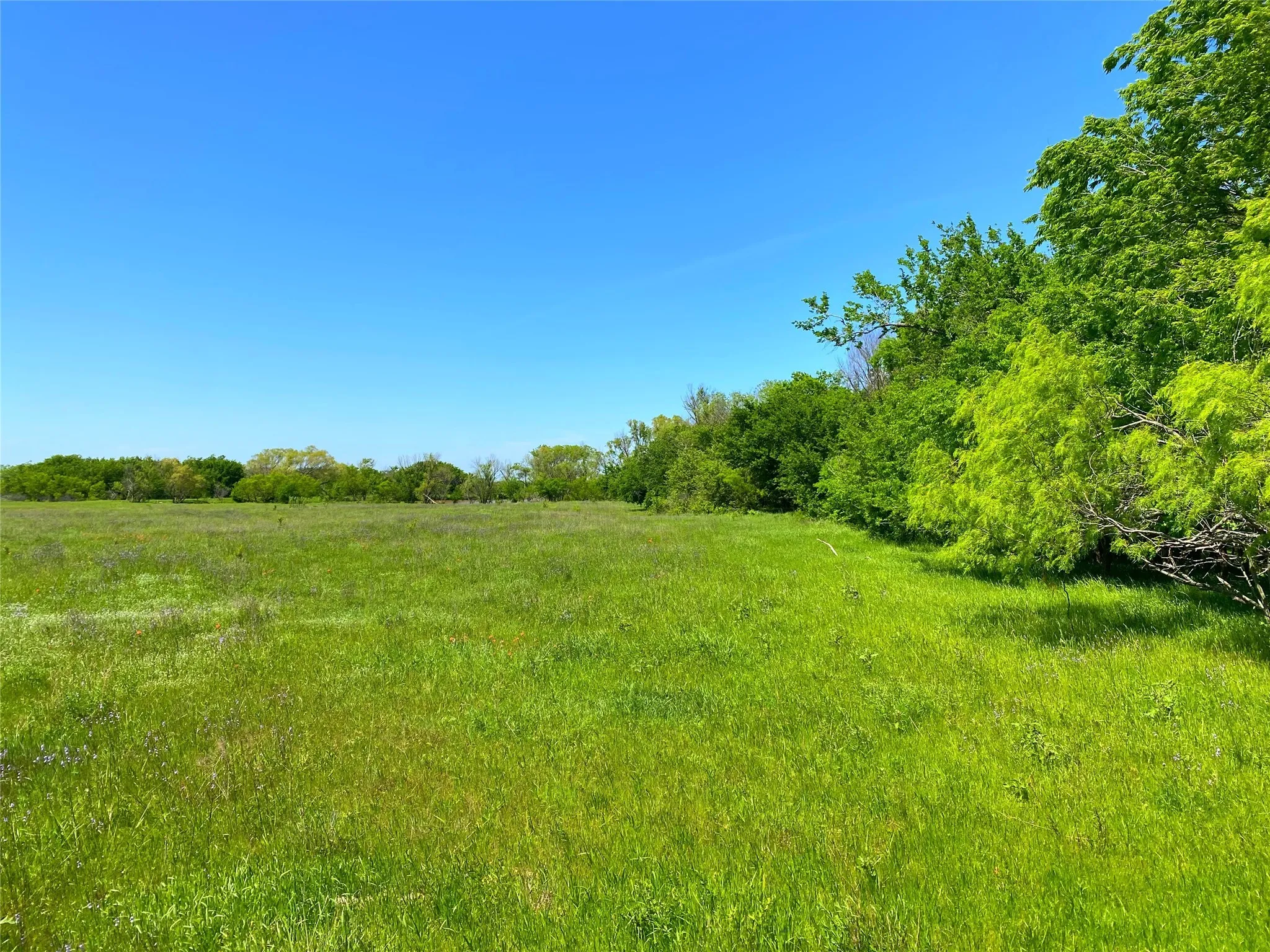 View of nature