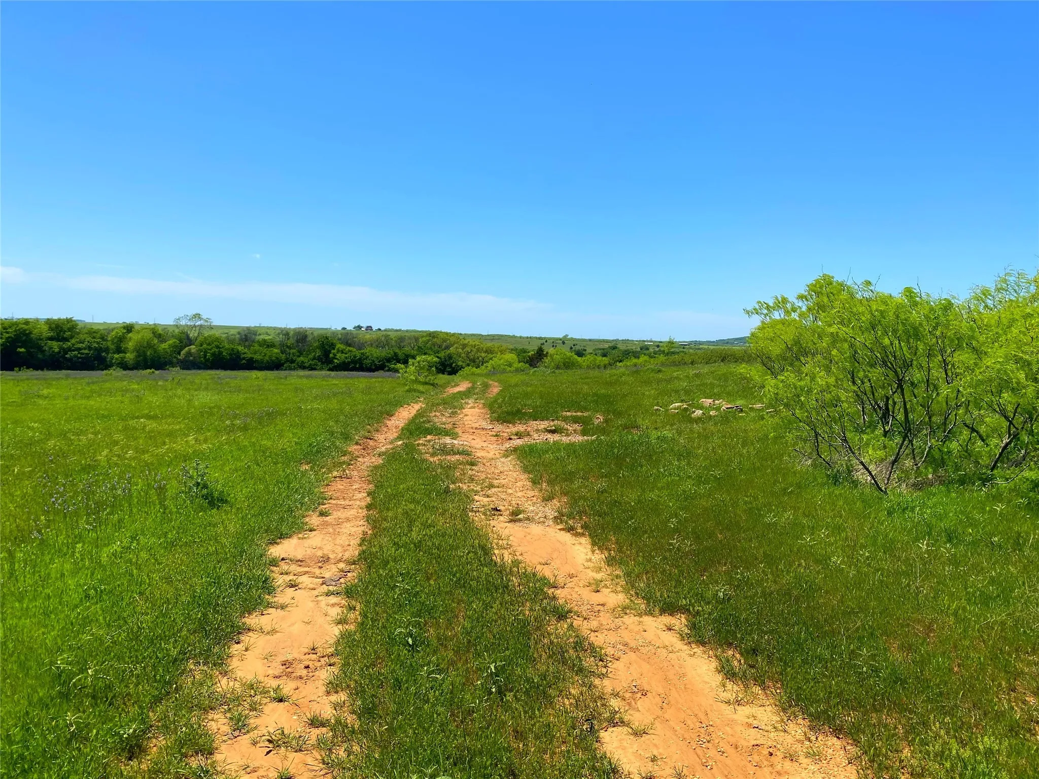 View of local wilderness with a rural view