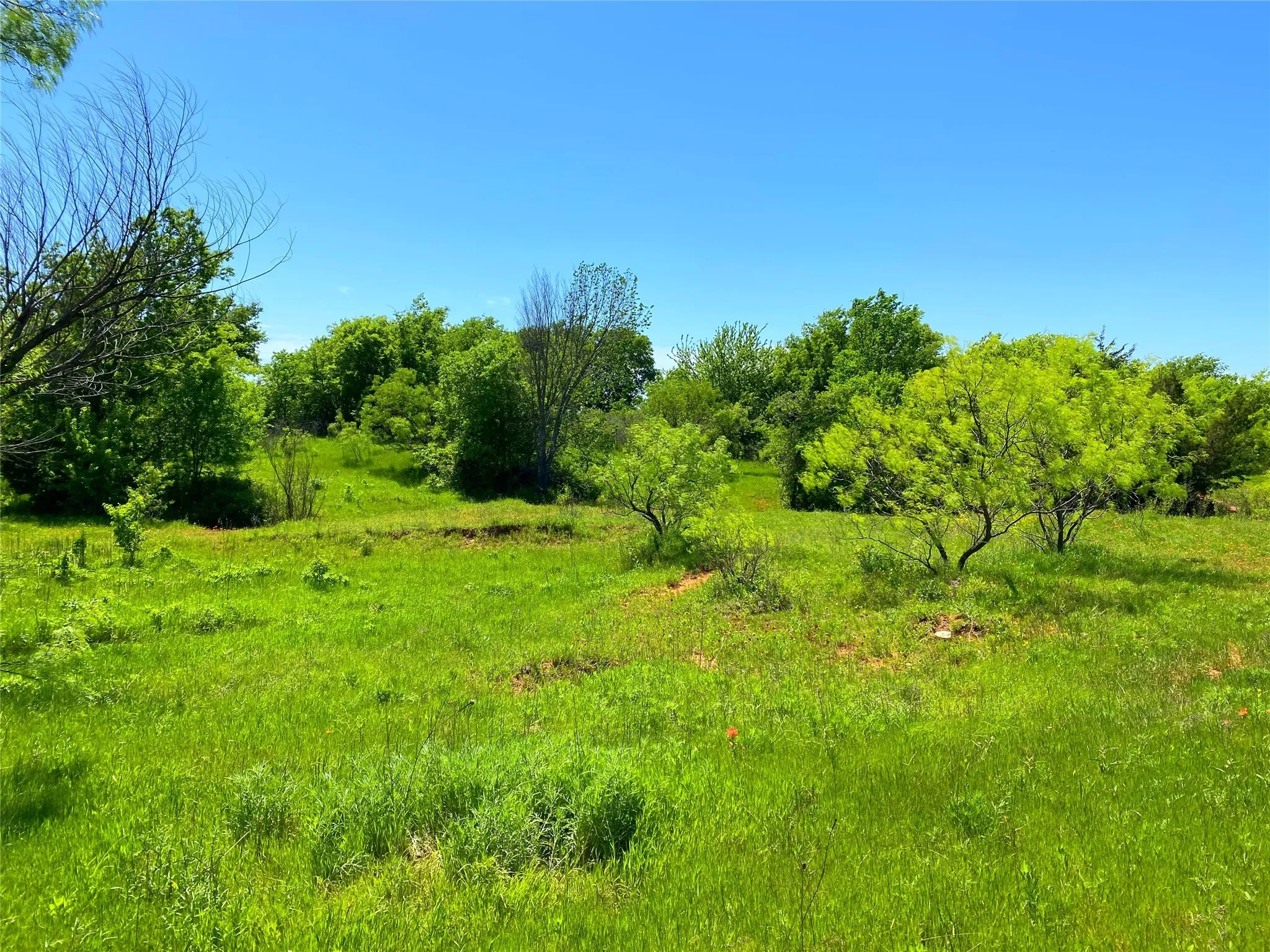 View of nature featuring a rural view
