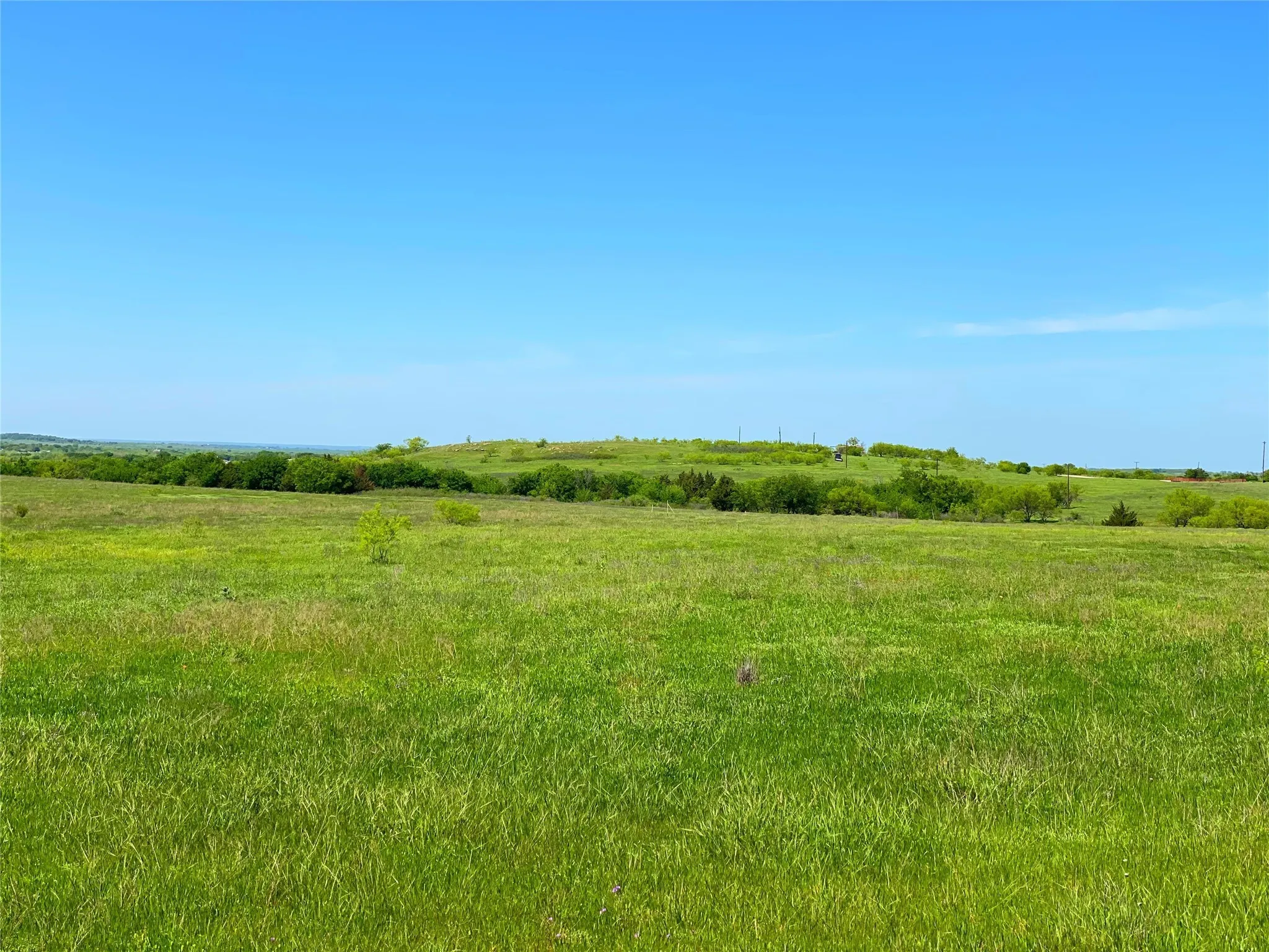 View of local wilderness with a rural view