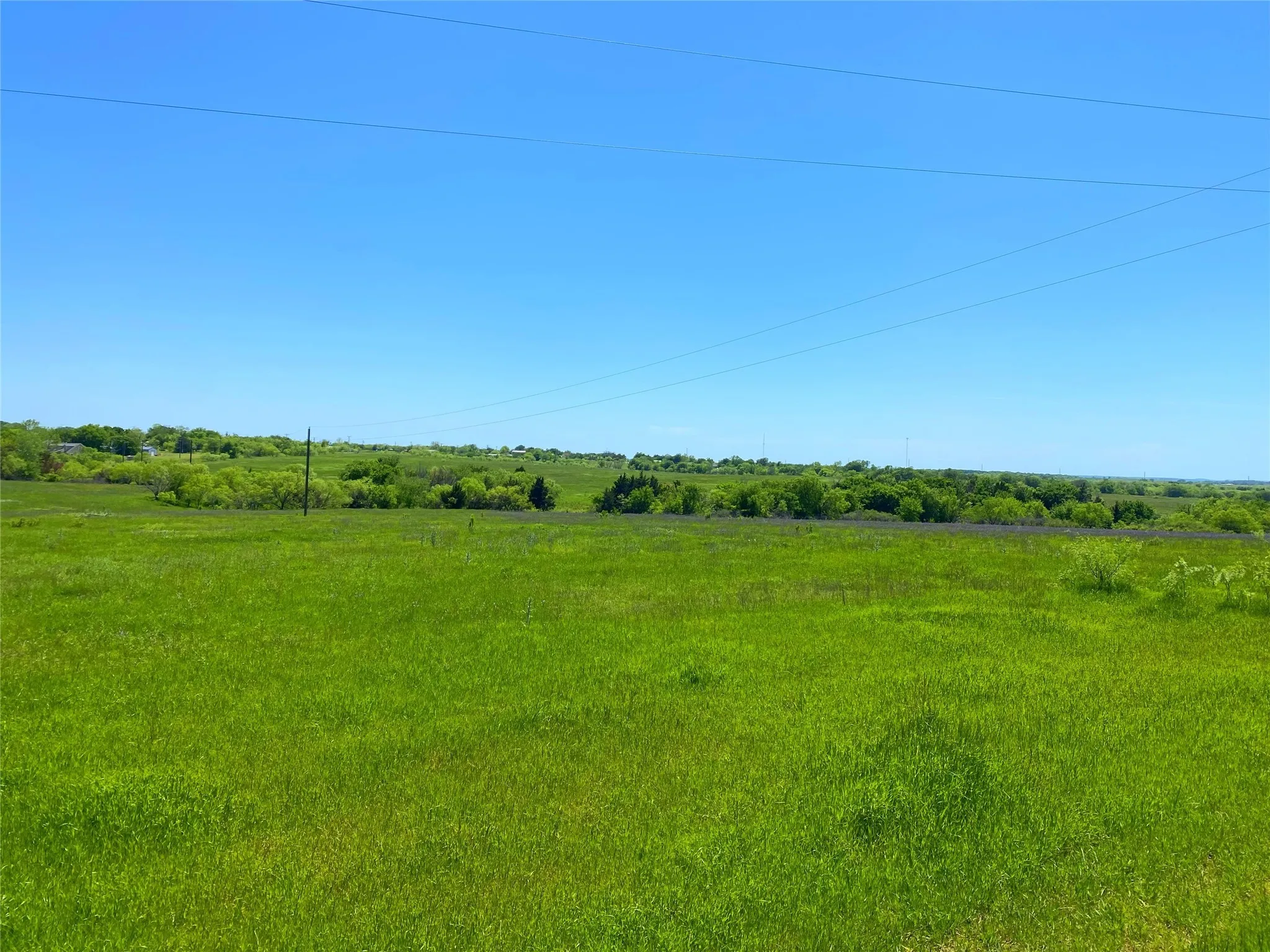 View of local wilderness with a rural view