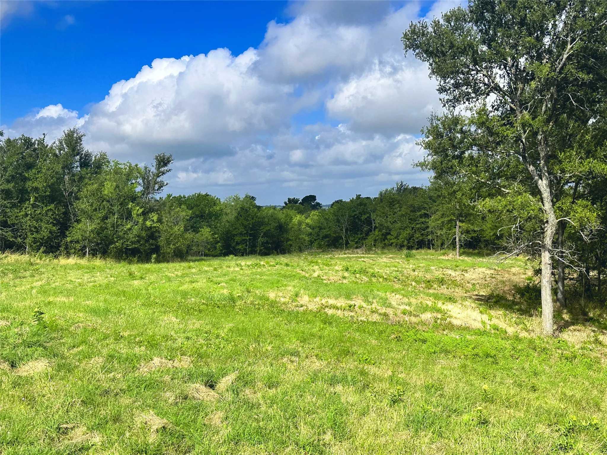 Unimproved Land For Sale in Navarro County , Lot 62 & BS #20 Sunset Court, Corsicana, Texas 75109, 0, 0, Garage spaces, 0 Sqft, built in 0, Price $119,900, mls#20596958, Real Estate Agent in Corsicana, Homes For Sale in Navarro county, Homes For Sale in Corsicana, Realtor in Corsicana Texas, Real Estate Brokerage Independent Realty Texas, Luminita Cordes Realtor