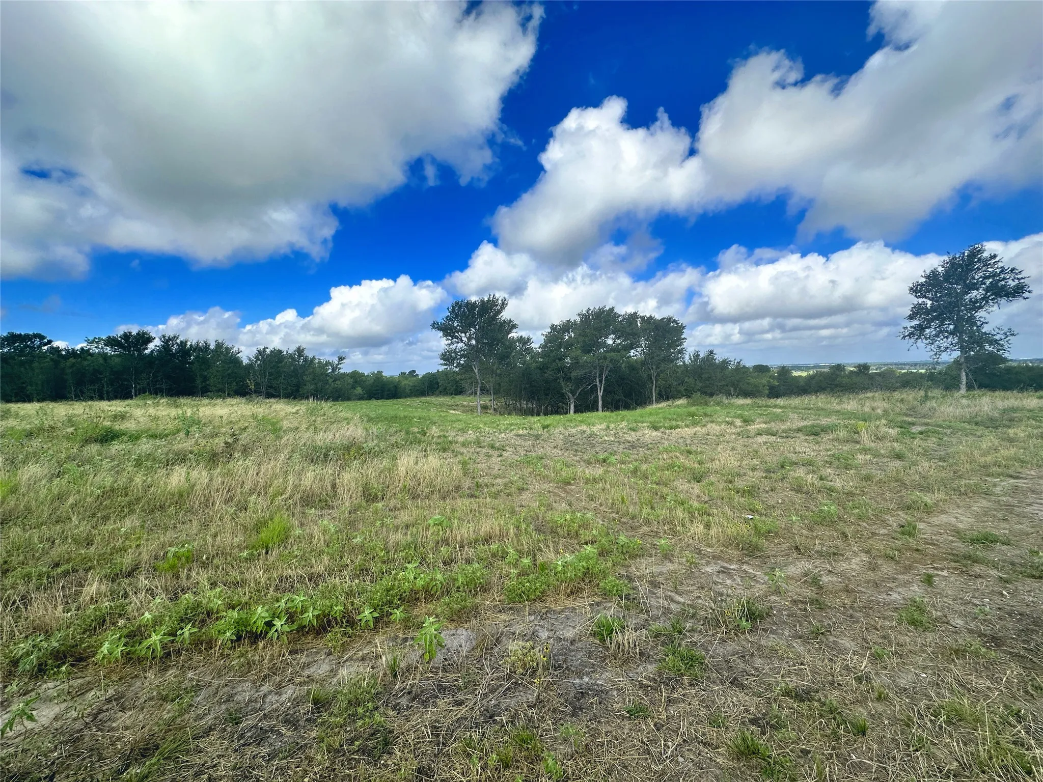 Unimproved Land For Sale in Navarro County , Lot 62 & BS #20 Sunset Court, Corsicana, Texas 75109, 0, 0, Garage spaces, 0 Sqft, built in 0, Price $119,900, mls#20596958, Real Estate Agent in Corsicana, Homes For Sale in Navarro county, Homes For Sale in Corsicana, Realtor in Corsicana Texas, Real Estate Brokerage Independent Realty Texas, Luminita Cordes Realtor
