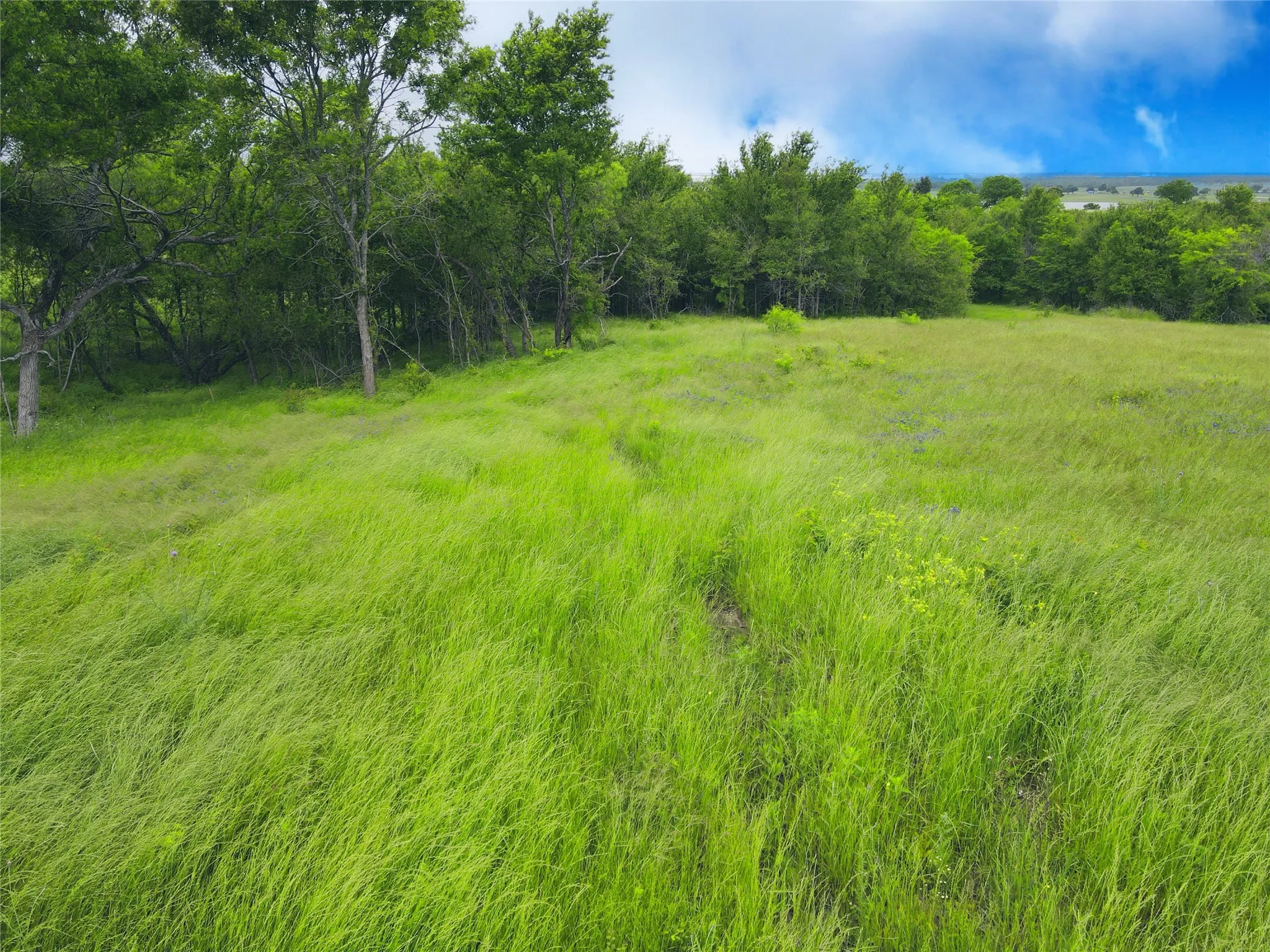Unimproved Land For Sale in Navarro County , Lot 62 & BS #20 Sunset Court, Corsicana, Texas 75109, 0, 0, Garage spaces, 0 Sqft, built in 0, Price $119,900, mls#20596958, Real Estate Agent in Corsicana, Homes For Sale in Navarro county, Homes For Sale in Corsicana, Realtor in Corsicana Texas, Real Estate Brokerage Independent Realty Texas, Luminita Cordes Realtor