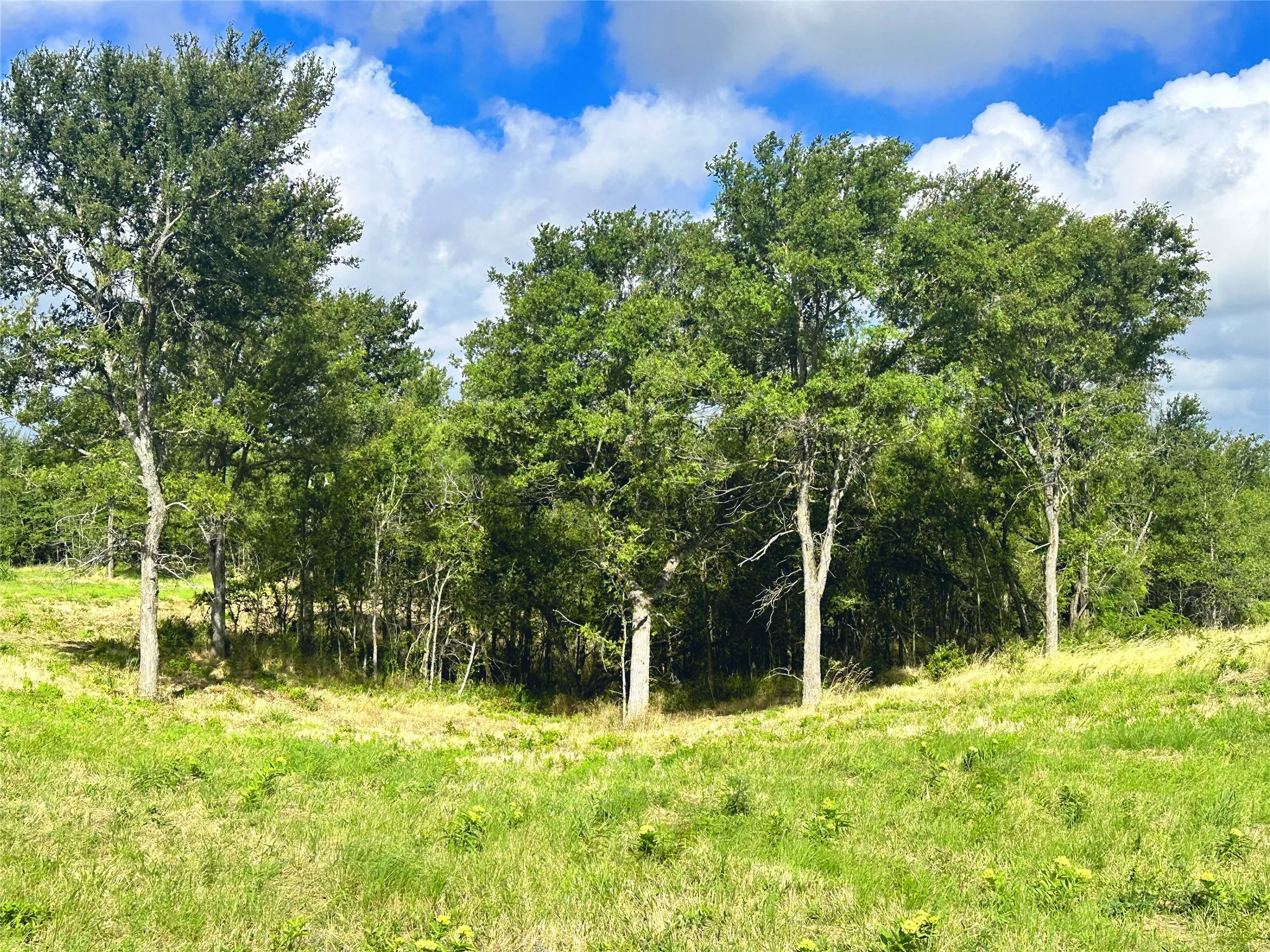 Unimproved Land For Sale in Navarro County , Lot 62 & BS #20 Sunset Court, Corsicana, Texas 75109, 0, 0, Garage spaces, 0 Sqft, built in 0, Price $119,900, mls#20596958, Real Estate Agent in Corsicana, Homes For Sale in Navarro county, Homes For Sale in Corsicana, Realtor in Corsicana Texas, Real Estate Brokerage Independent Realty Texas, Luminita Cordes Realtor