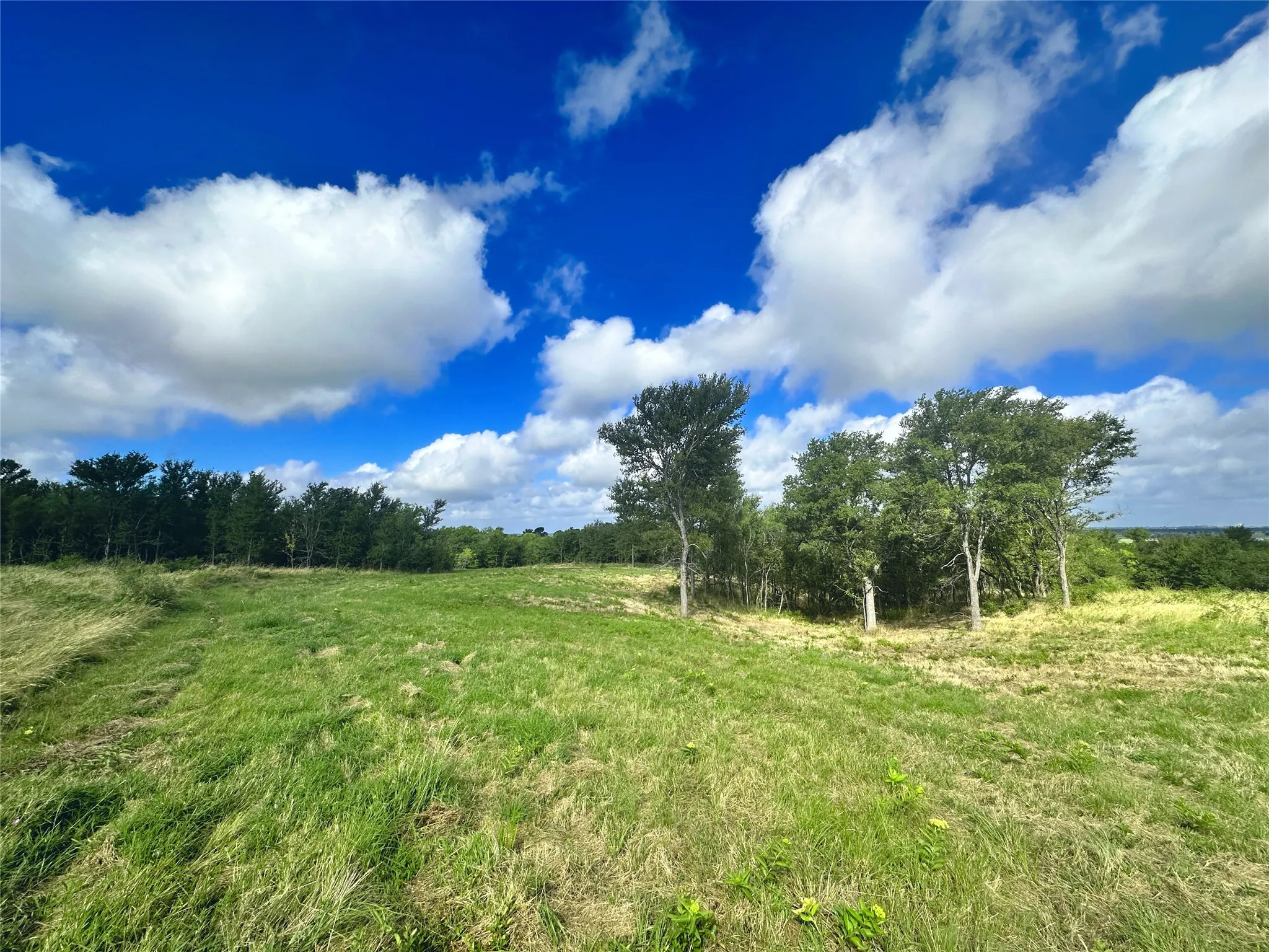 Unimproved Land For Sale in Navarro County , Lot 62 & BS #20 Sunset Court, Corsicana, Texas 75109, 0, 0, Garage spaces, 0 Sqft, built in 0, Price $119,900, mls#20596958, Real Estate Agent in Corsicana, Homes For Sale in Navarro county, Homes For Sale in Corsicana, Realtor in Corsicana Texas, Real Estate Brokerage Independent Realty Texas, Luminita Cordes Realtor