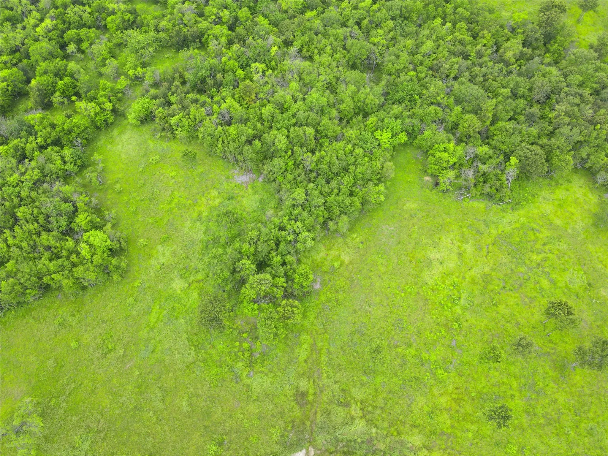 Unimproved Land For Sale in Navarro County , Lot 62 & BS #20 Sunset Court, Corsicana, Texas 75109, 0, 0, Garage spaces, 0 Sqft, built in 0, Price $119,900, mls#20596958, Real Estate Agent in Corsicana, Homes For Sale in Navarro county, Homes For Sale in Corsicana, Realtor in Corsicana Texas, Real Estate Brokerage Independent Realty Texas, Luminita Cordes Realtor