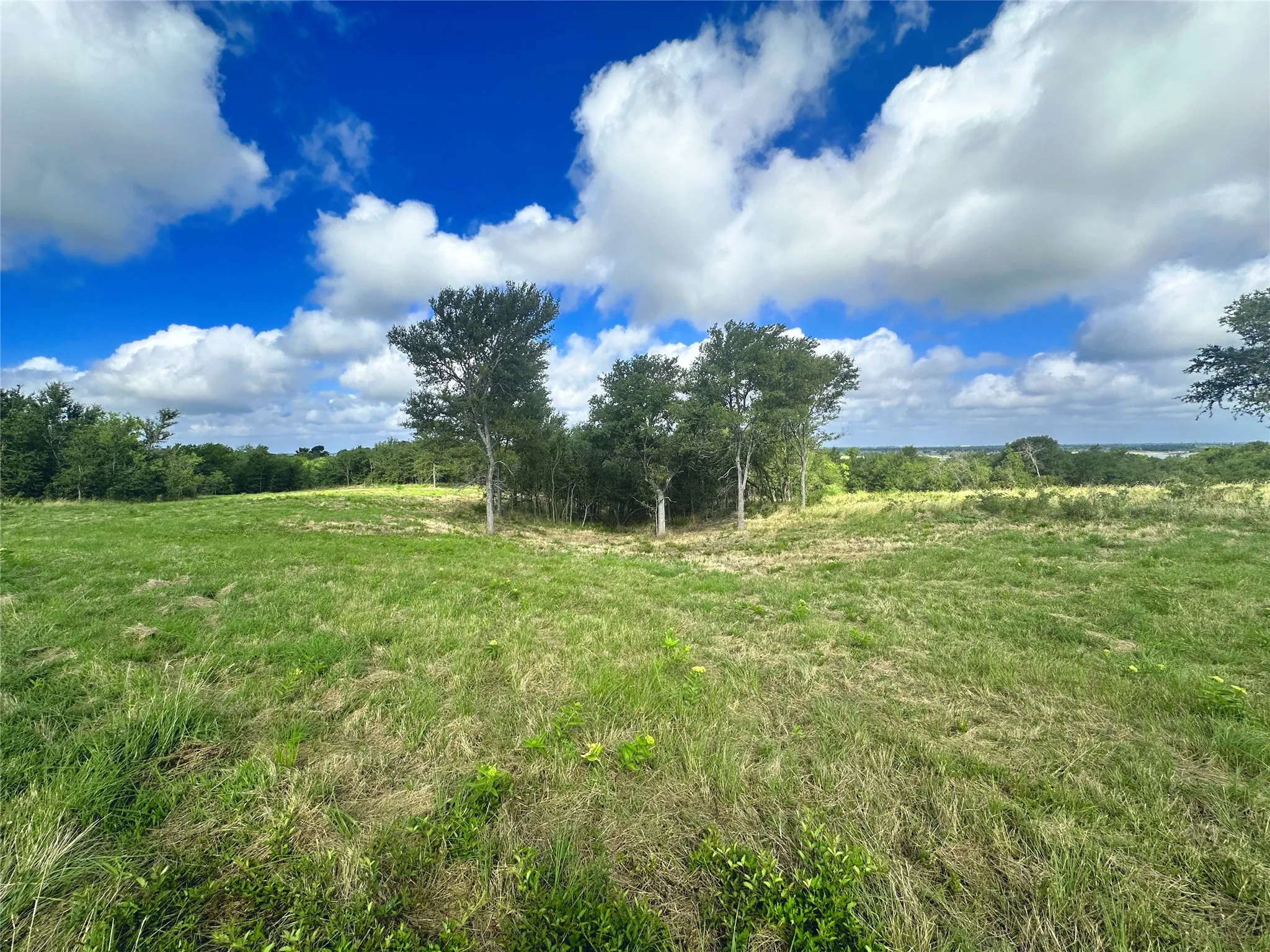 Unimproved Land For Sale in Navarro County , Lot 62 & BS #20 Sunset Court, Corsicana, Texas 75109, 0, 0, Garage spaces, 0 Sqft, built in 0, Price $119,900, mls#20596958, Real Estate Agent in Corsicana, Homes For Sale in Navarro county, Homes For Sale in Corsicana, Realtor in Corsicana Texas, Real Estate Brokerage Independent Realty Texas, Luminita Cordes Realtor